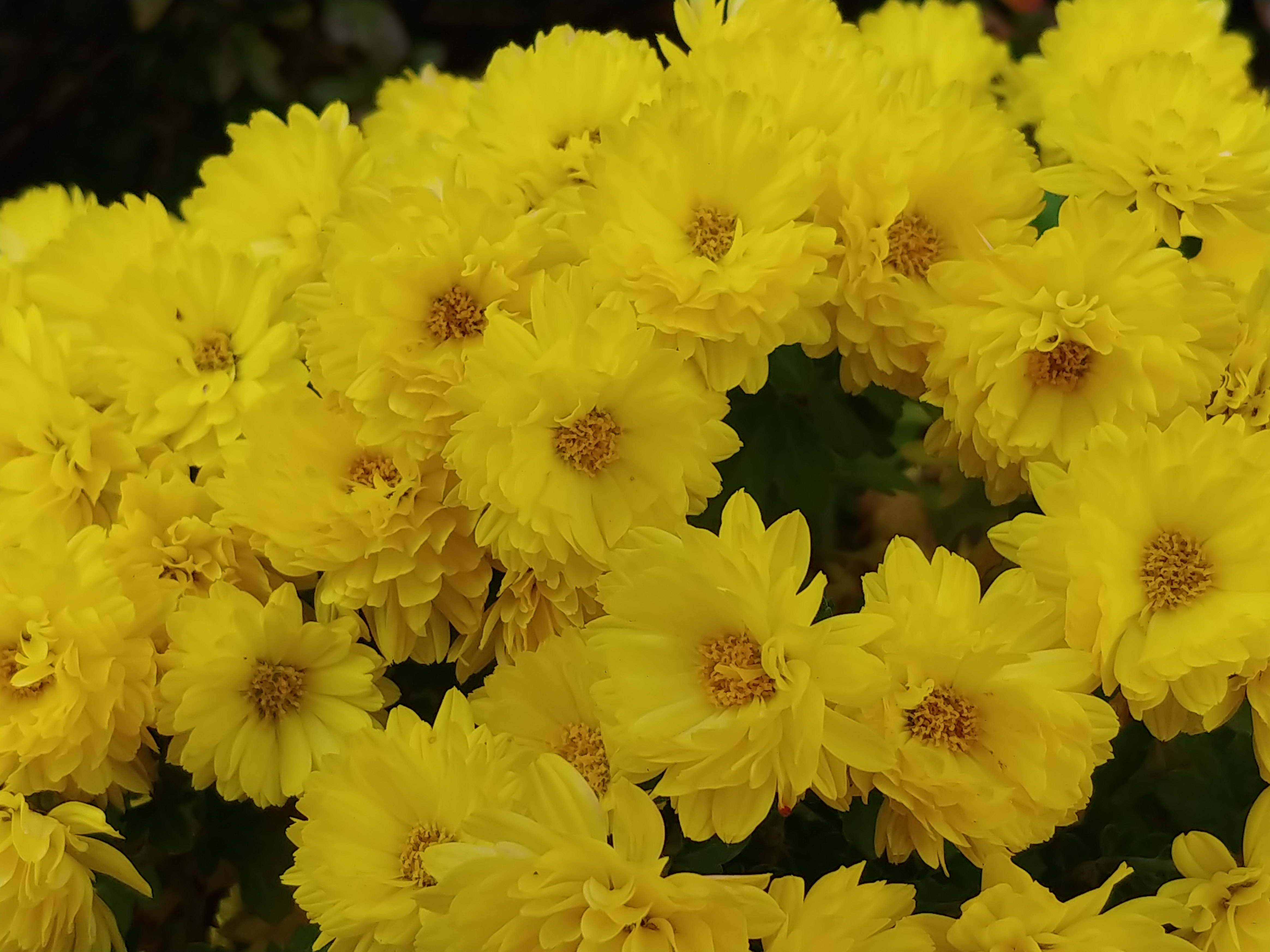 20201107_111307.jpg