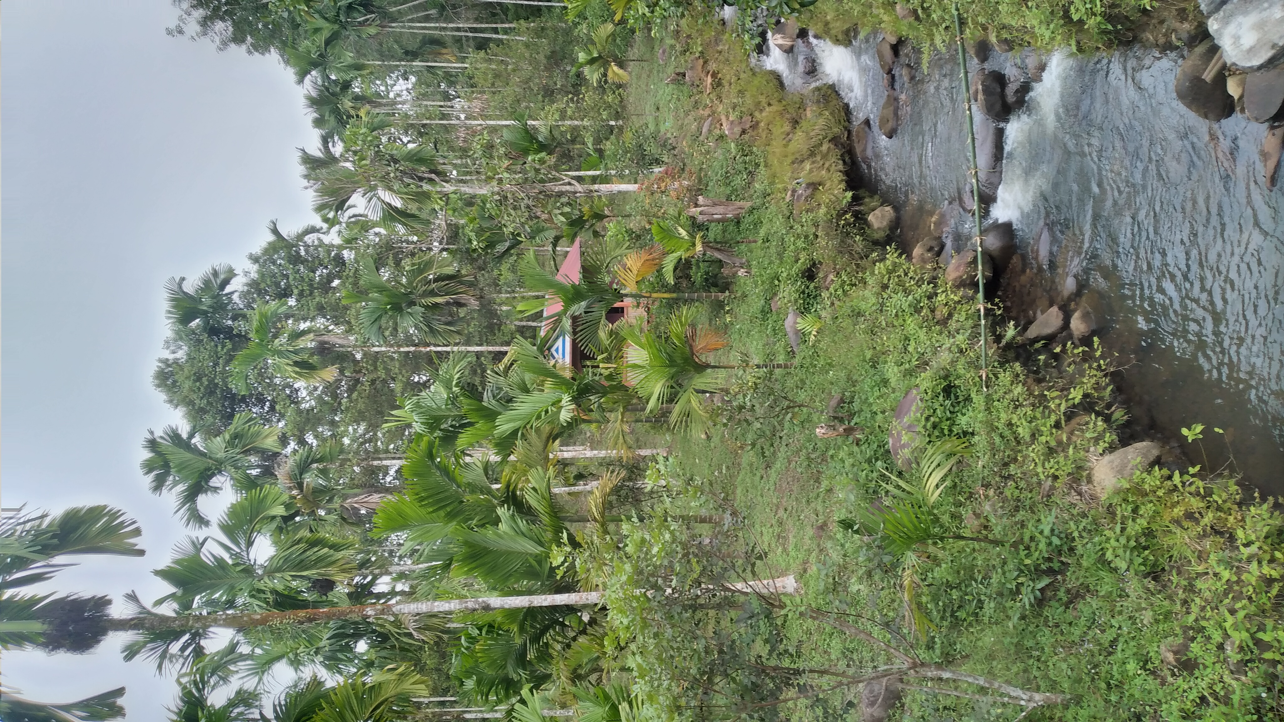 20221009_163936.jpg