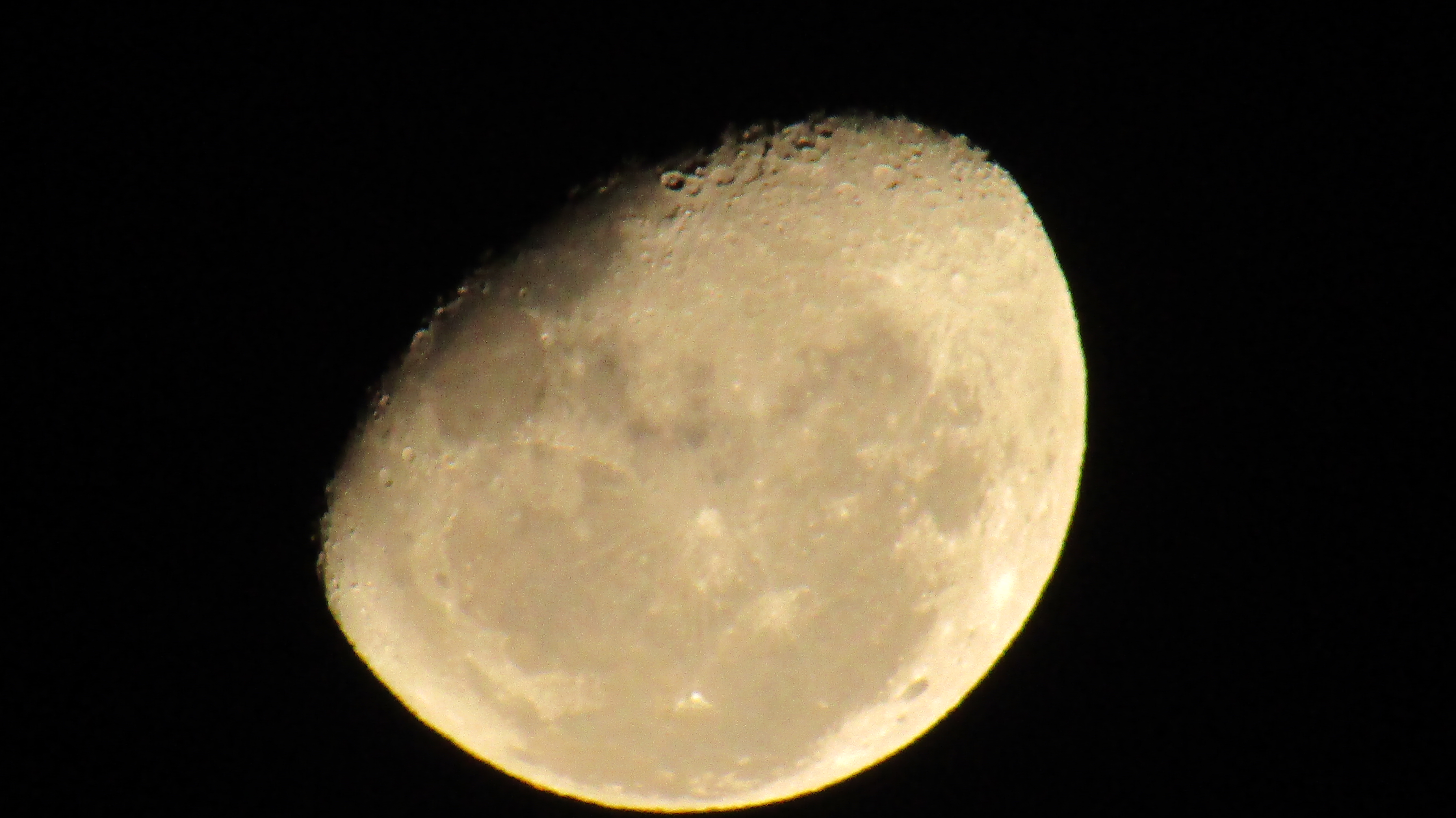 IMG_0920.JPG
