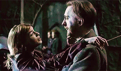 tumblr_msep05SPe31qeijvdo1_r1_250.gif