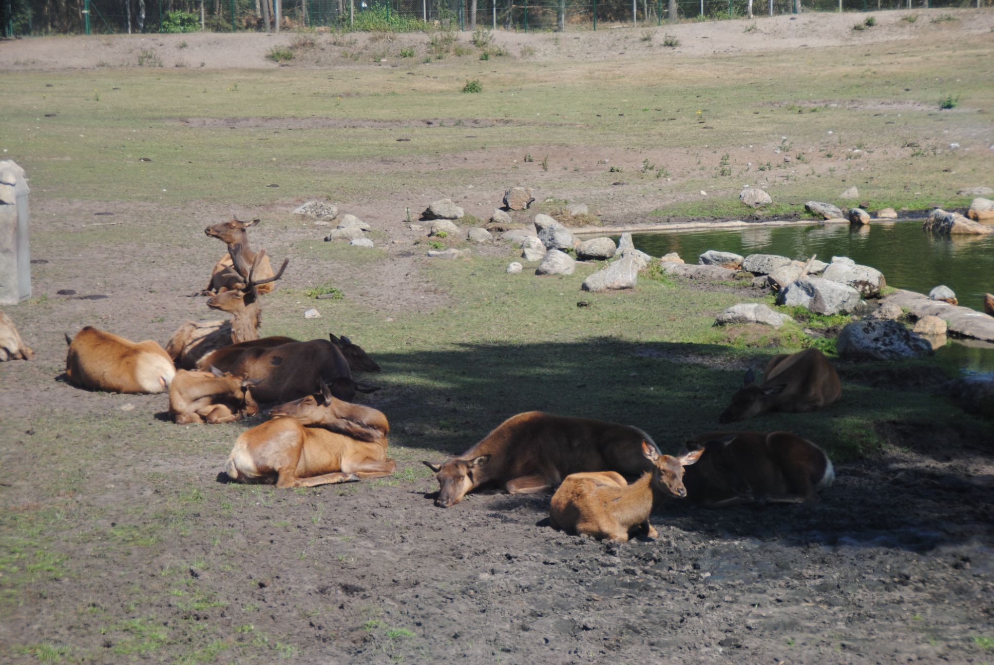 image013.jpg
