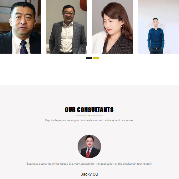 Screenshot_2019-08-16 GOOSE Q(3).png