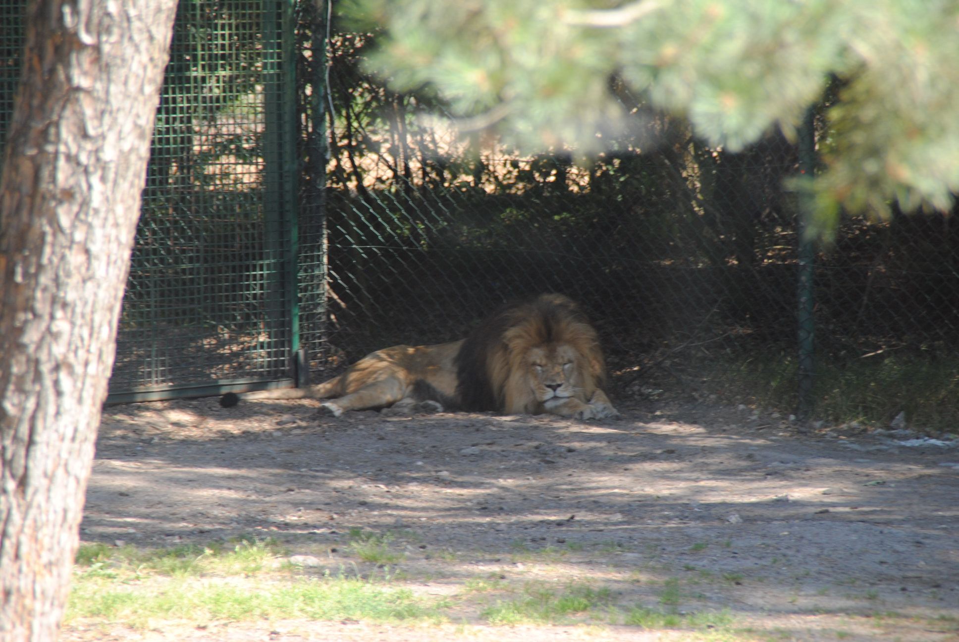 image036.jpg