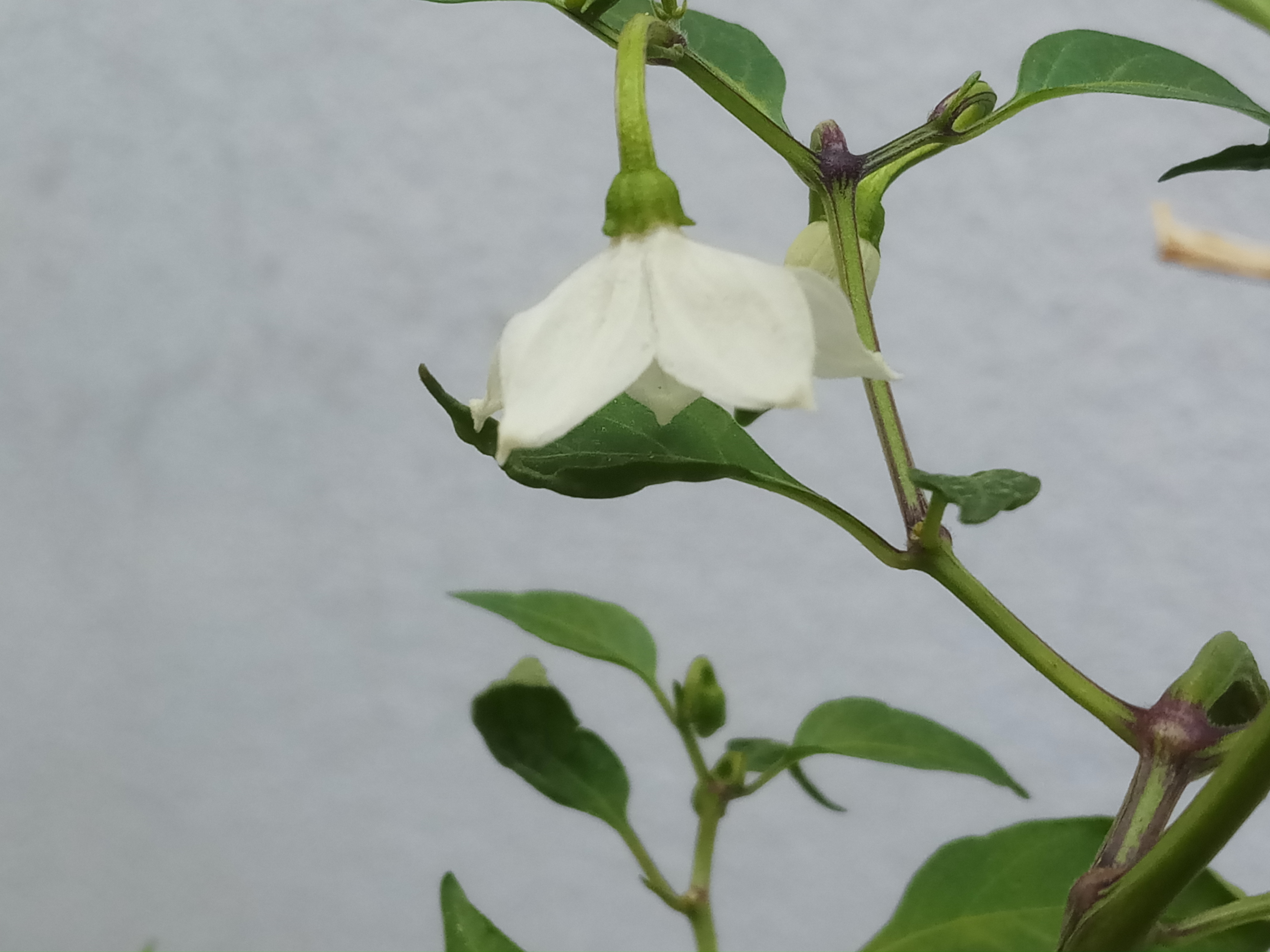 20191004_150004.jpg