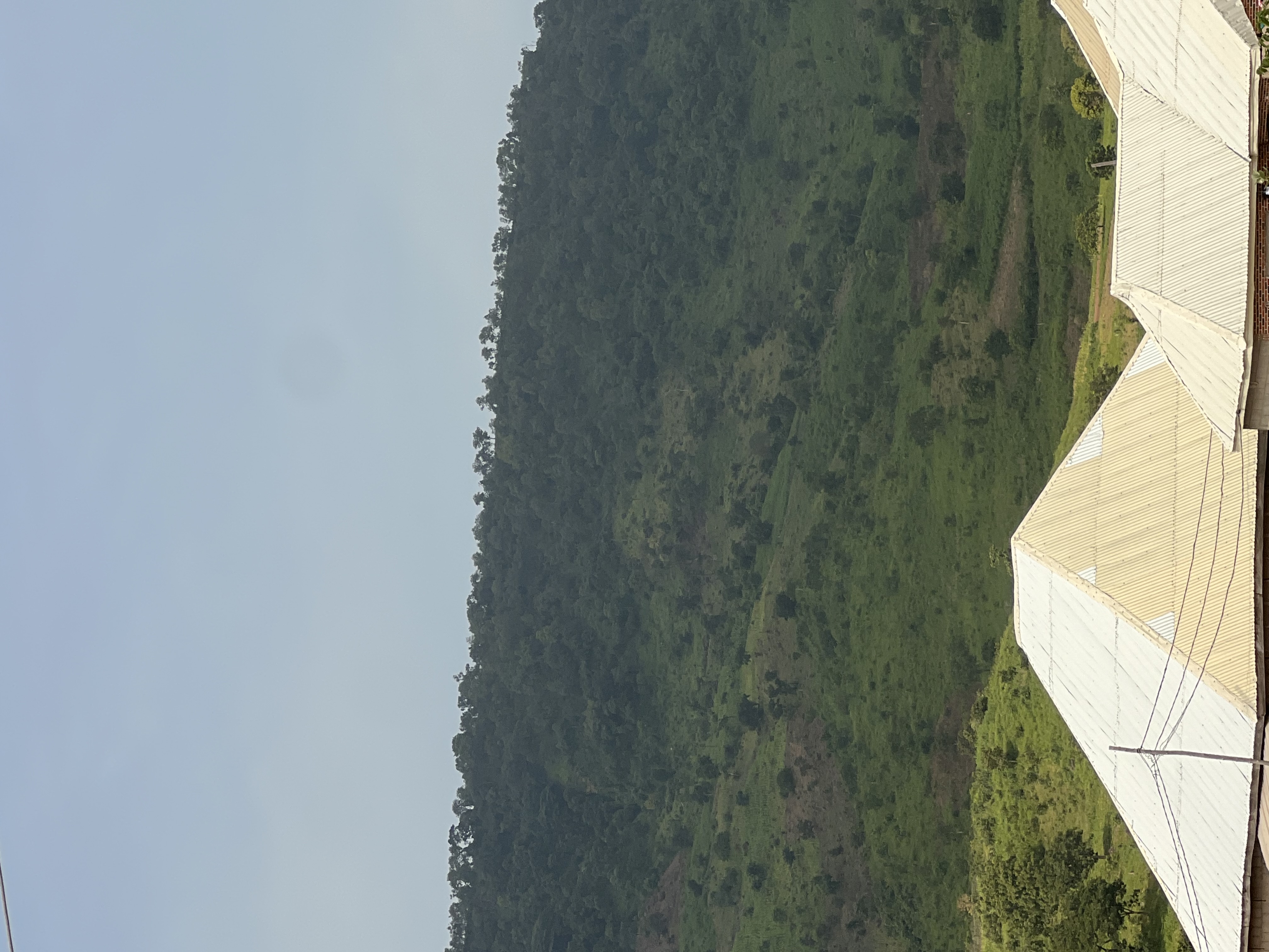 IMG_7181.jpeg
