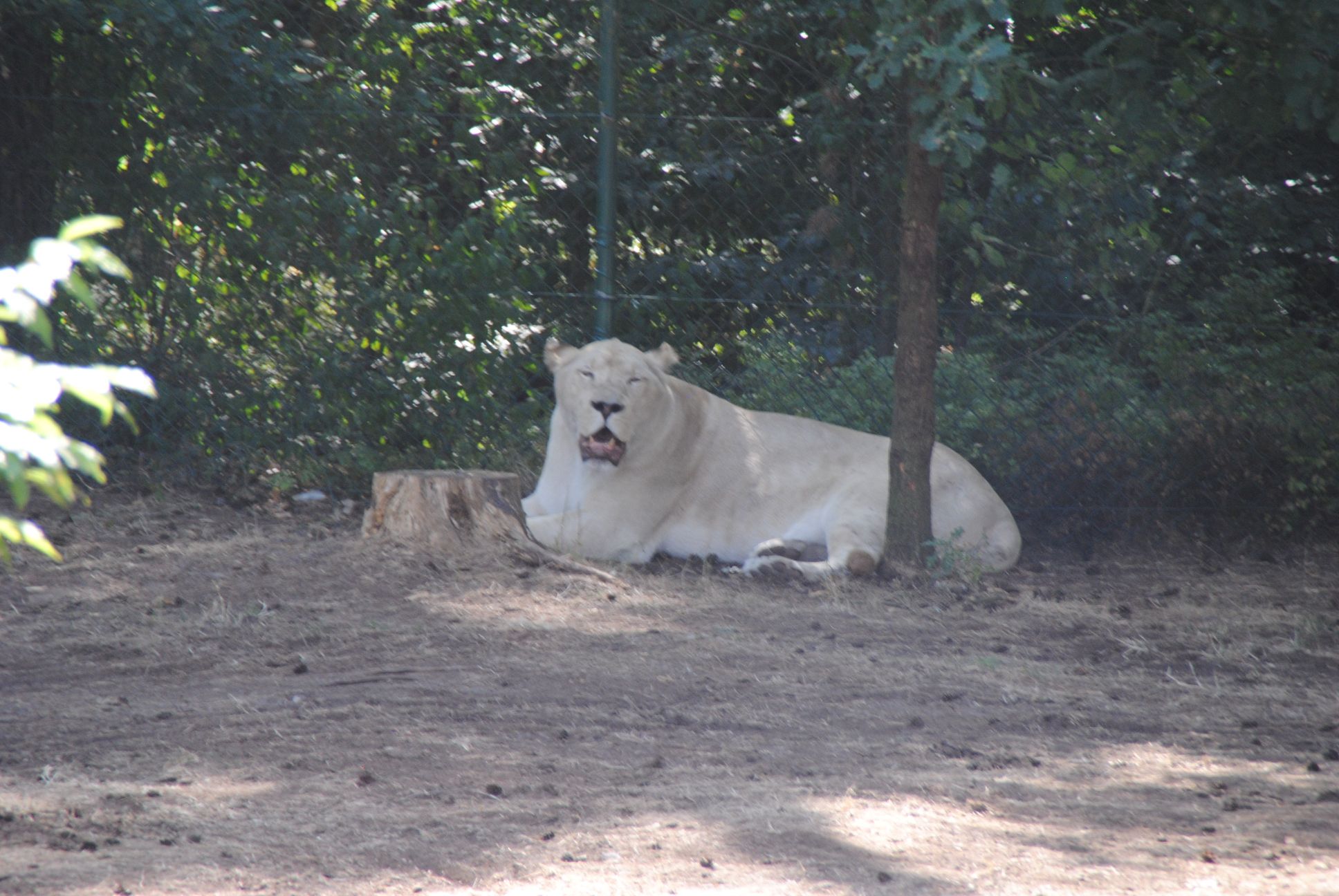 image034.jpg