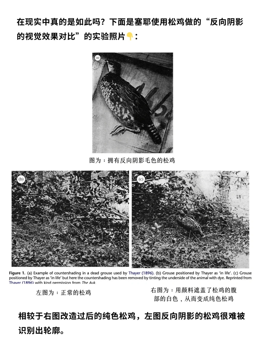 科普一分钟_ 动物长这样究竟是谁“规定”的❓_6.jpg