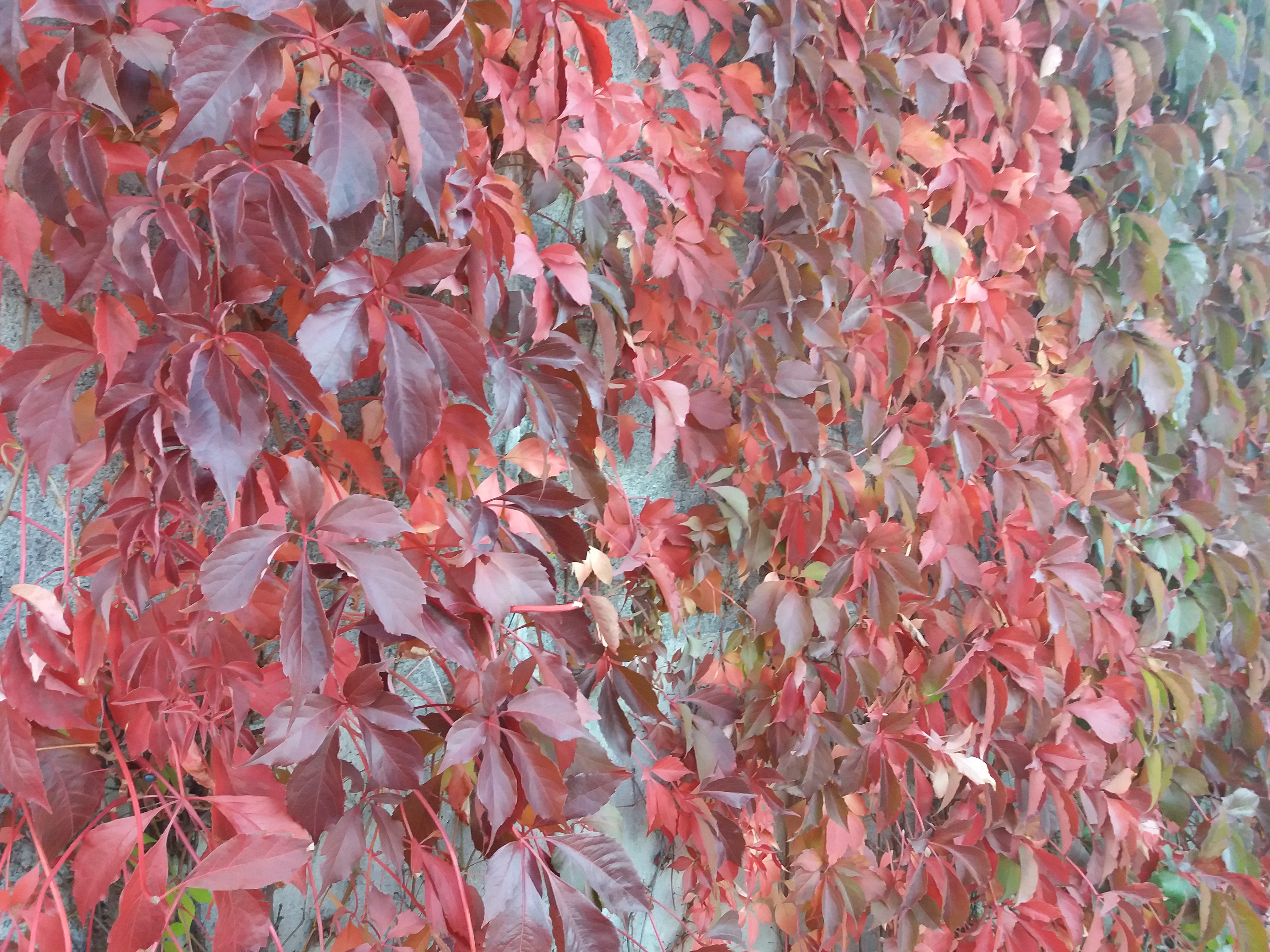 20180930_180811.jpg