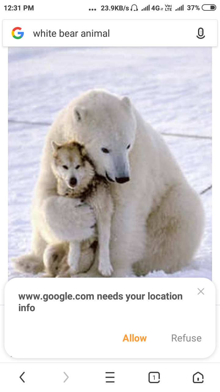 Screenshot_2019-03-30-12-31-38-213_com.UCMobile.intl.png