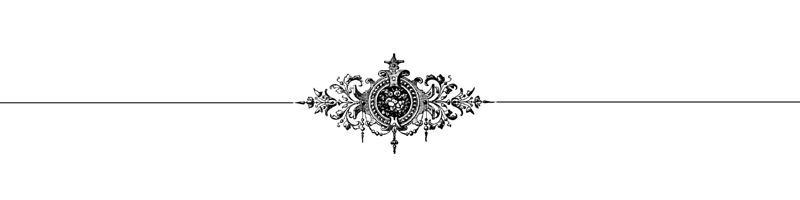 Page_divider_7.png