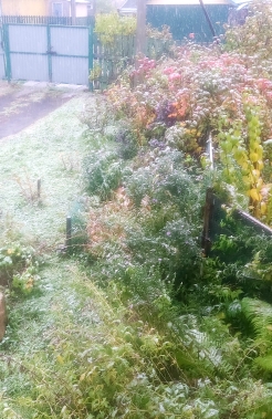 20231008_072558.jpg