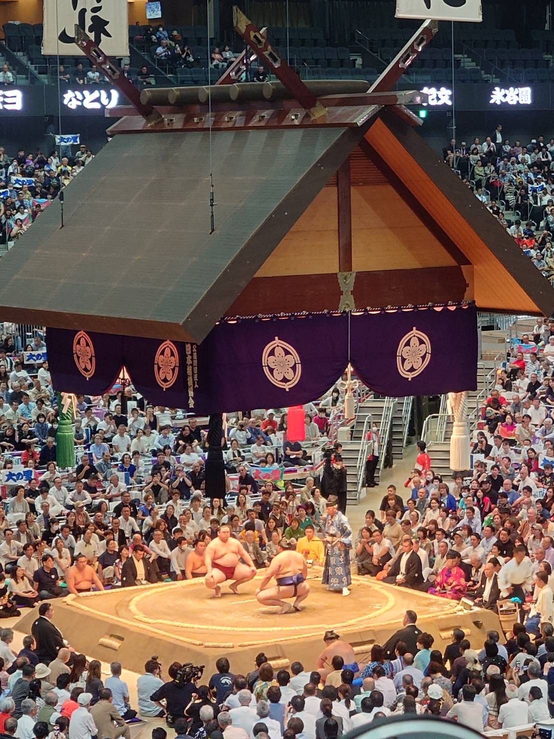 Sumo3.jpg