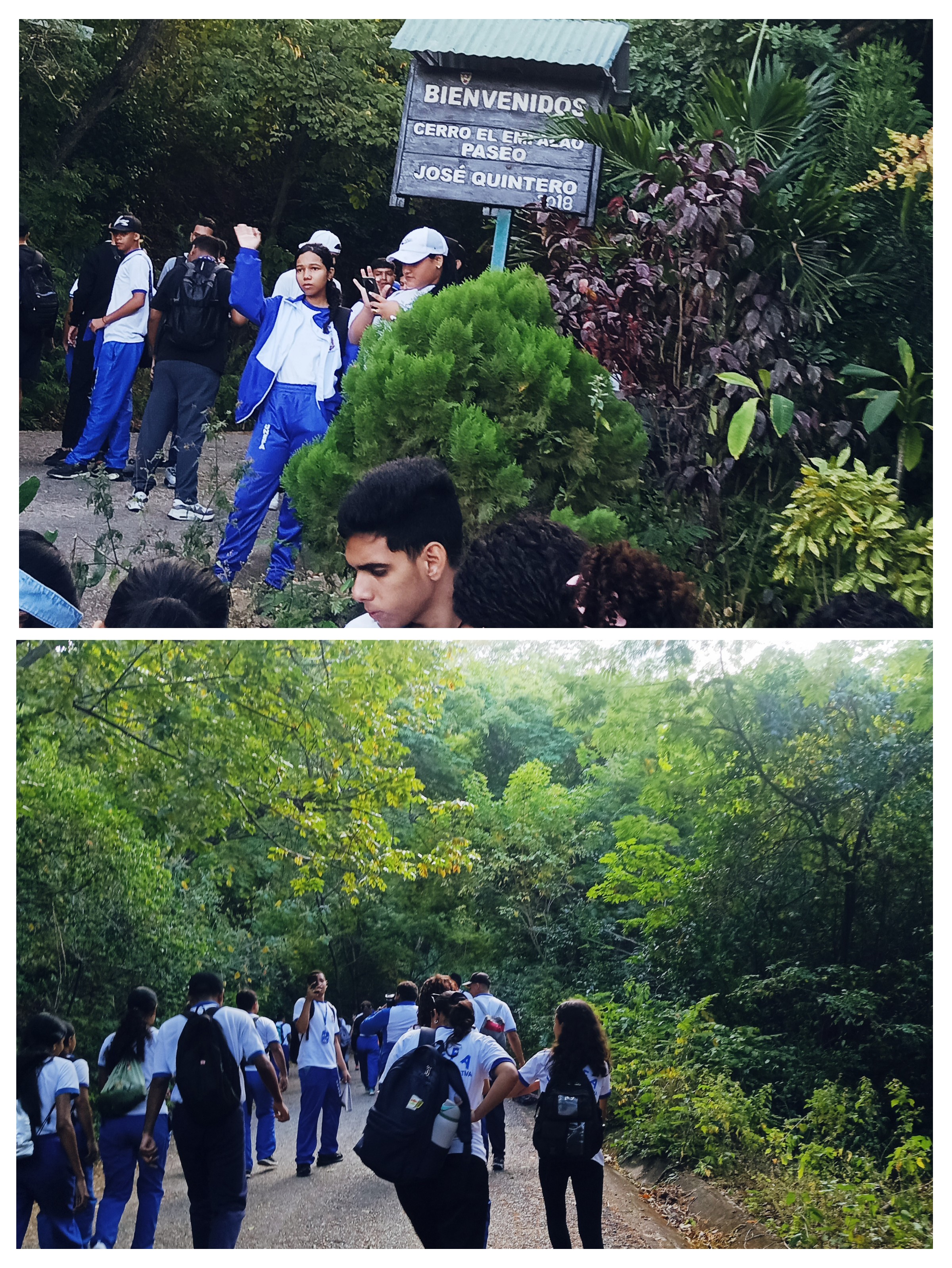 20251207_175510-COLLAGE.jpg