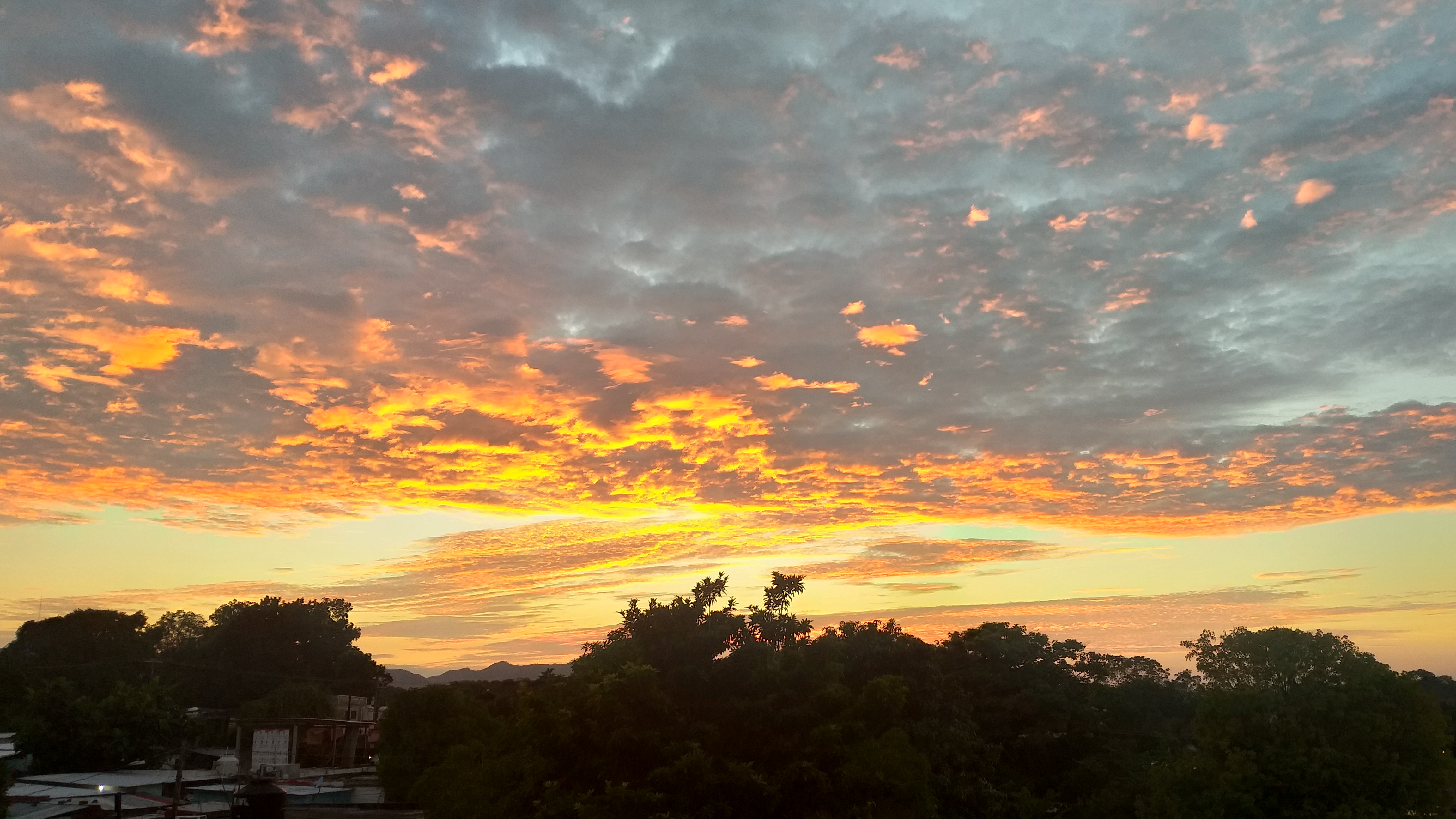 20201124_173215.jpg