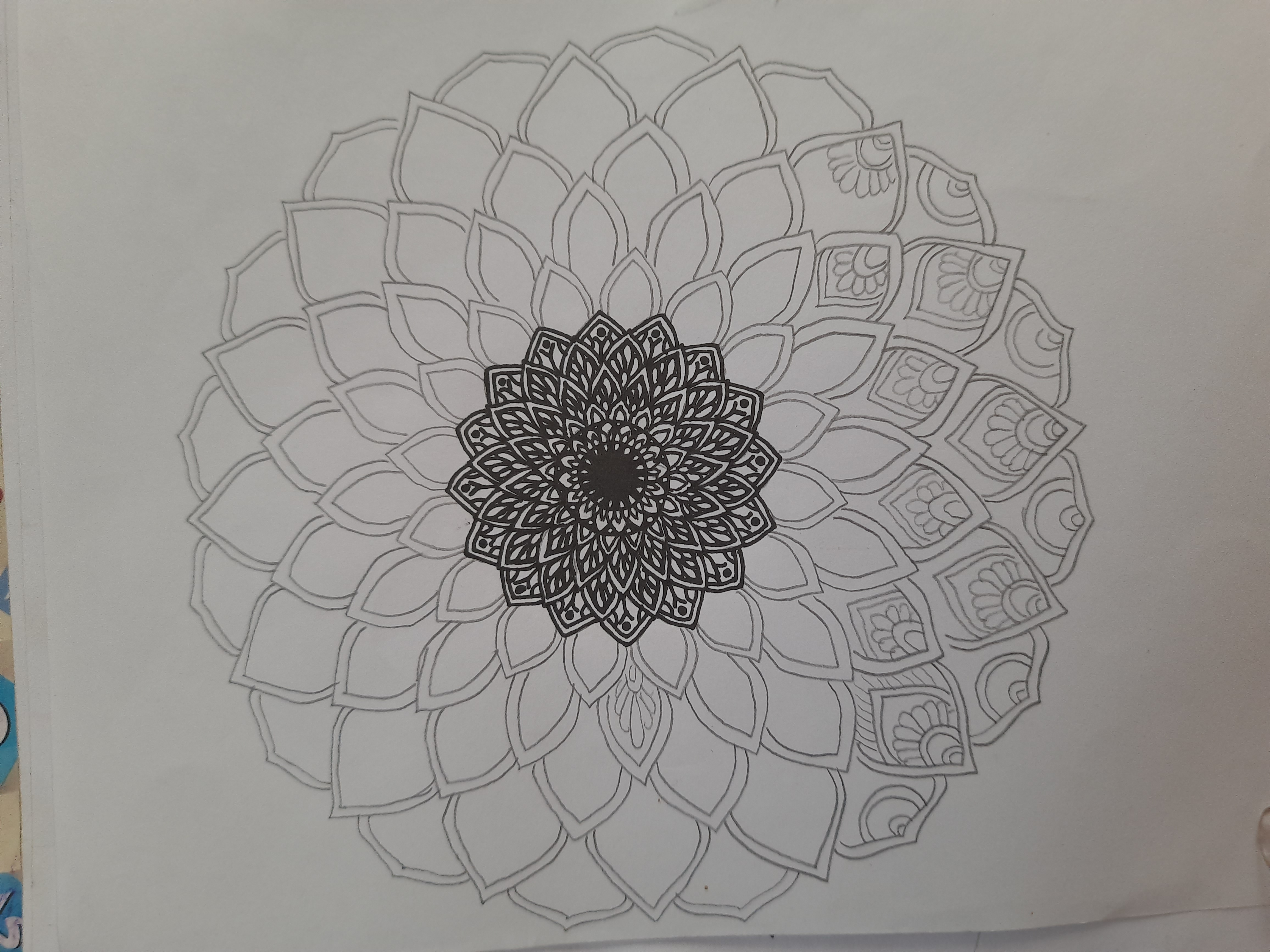 20260406_161131.jpg