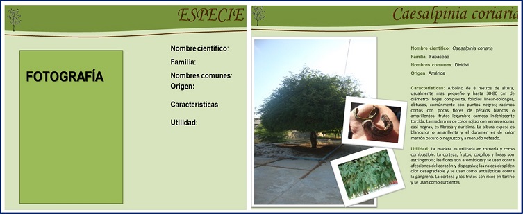 imagen9.jpg