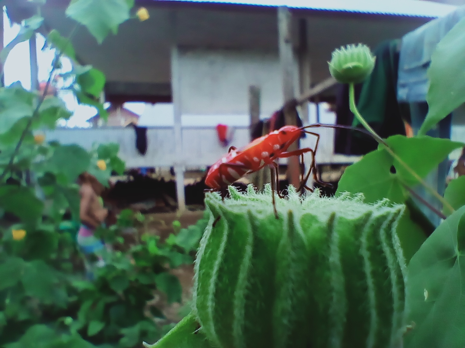 IMG20210814174411.jpg
