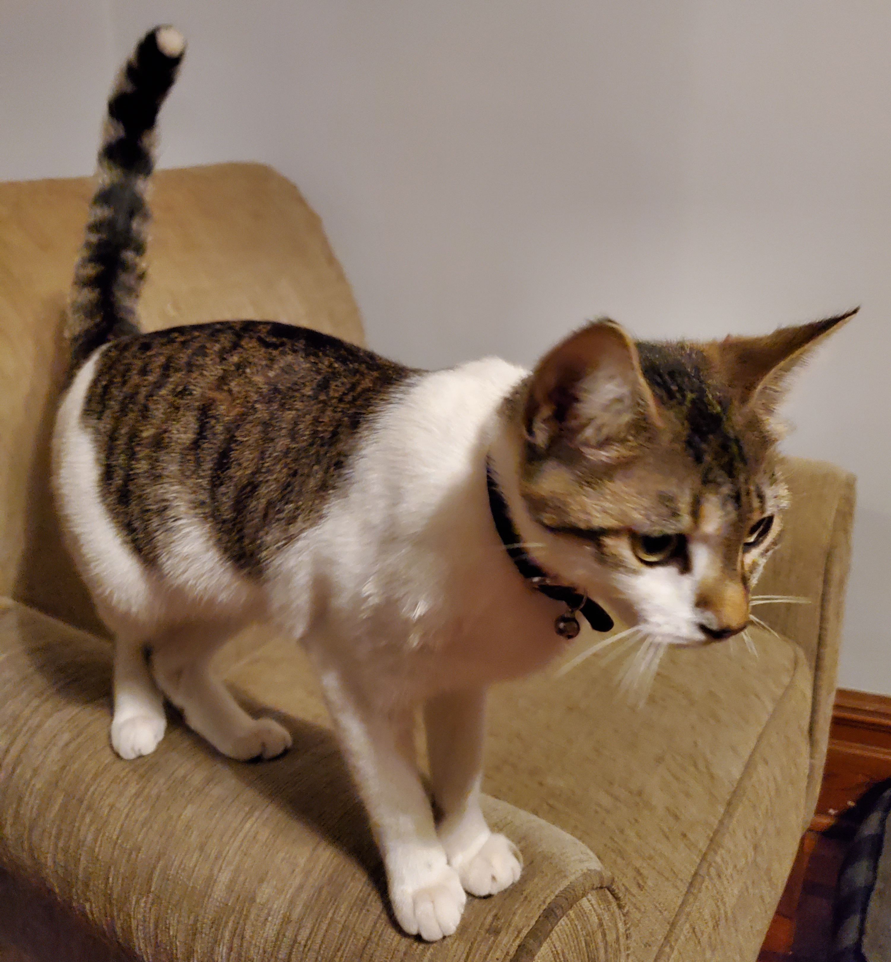 20191203_182535.jpg