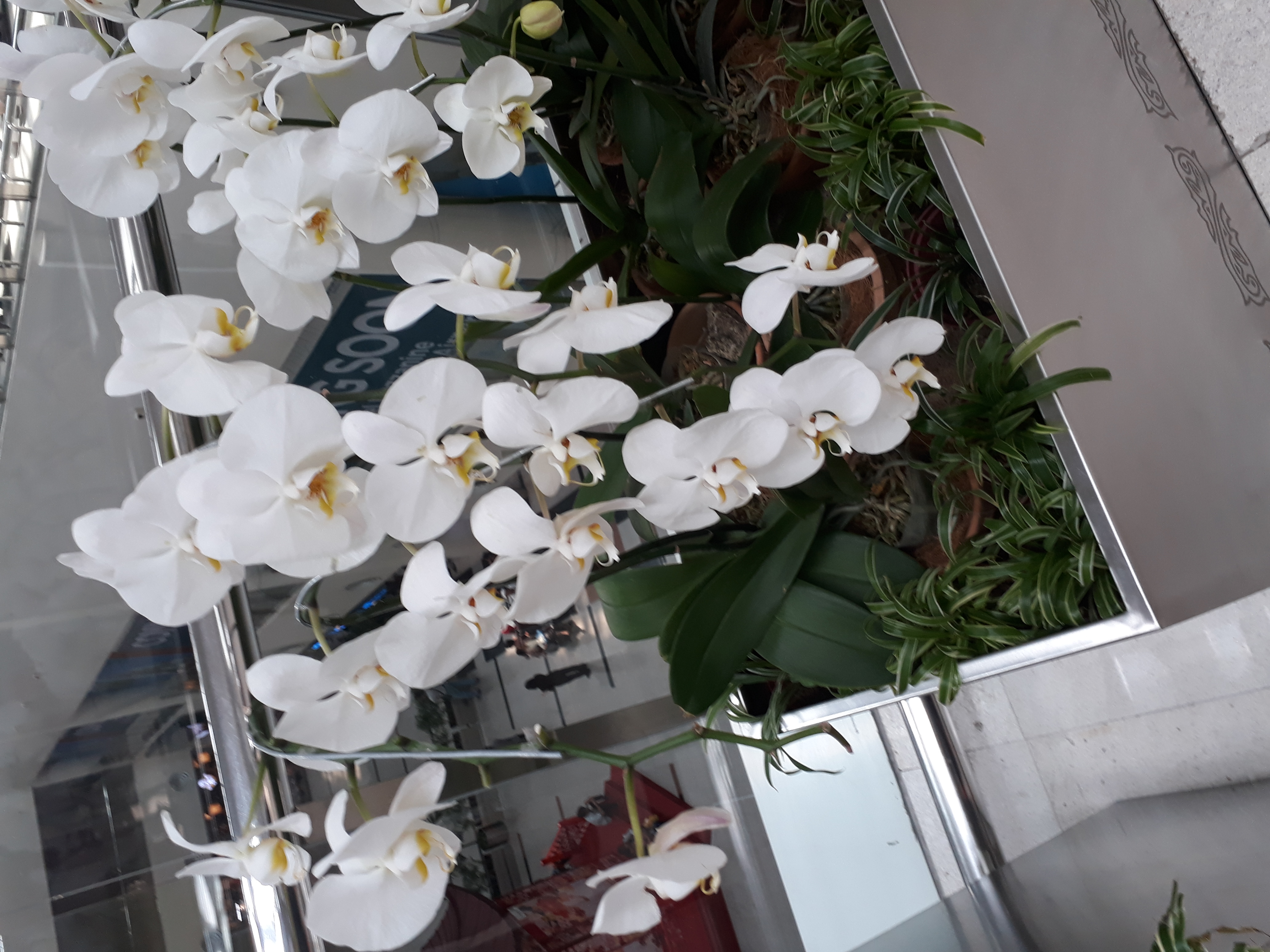 20180214_110855.jpg