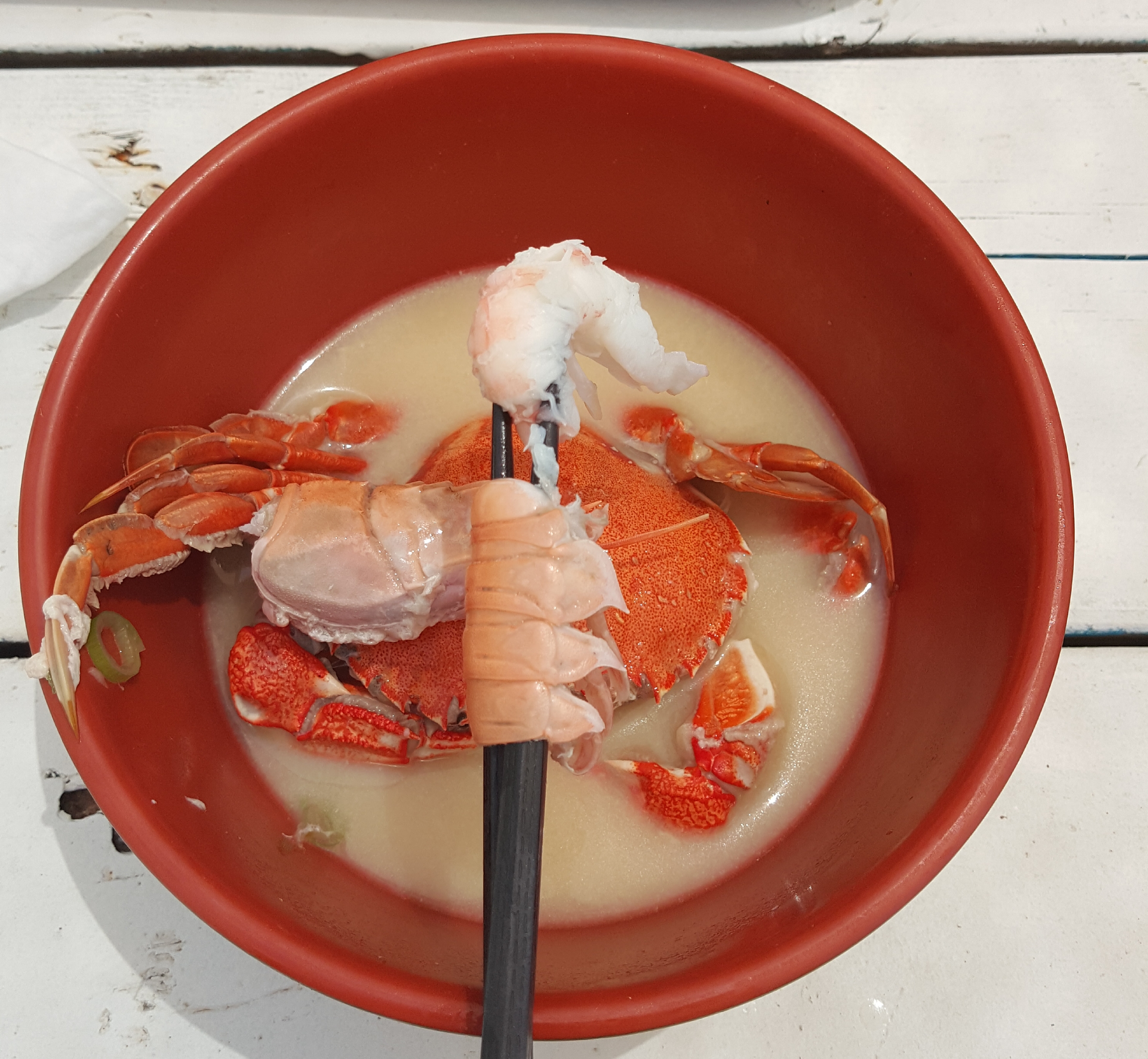 20180601_025031.jpg