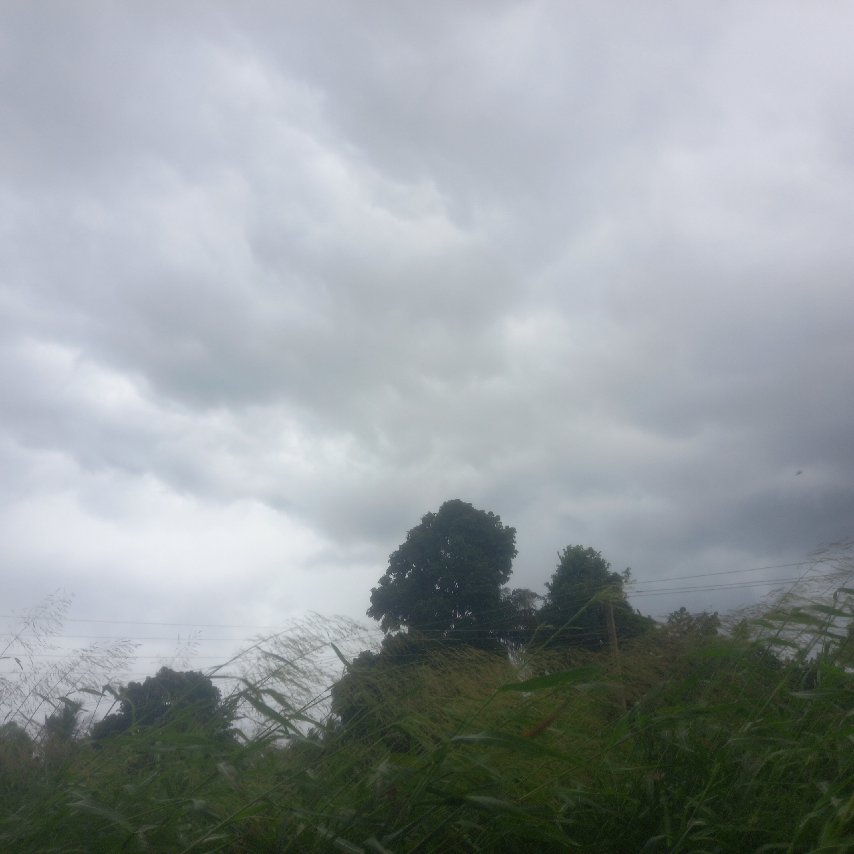 20260628_144836.jpg