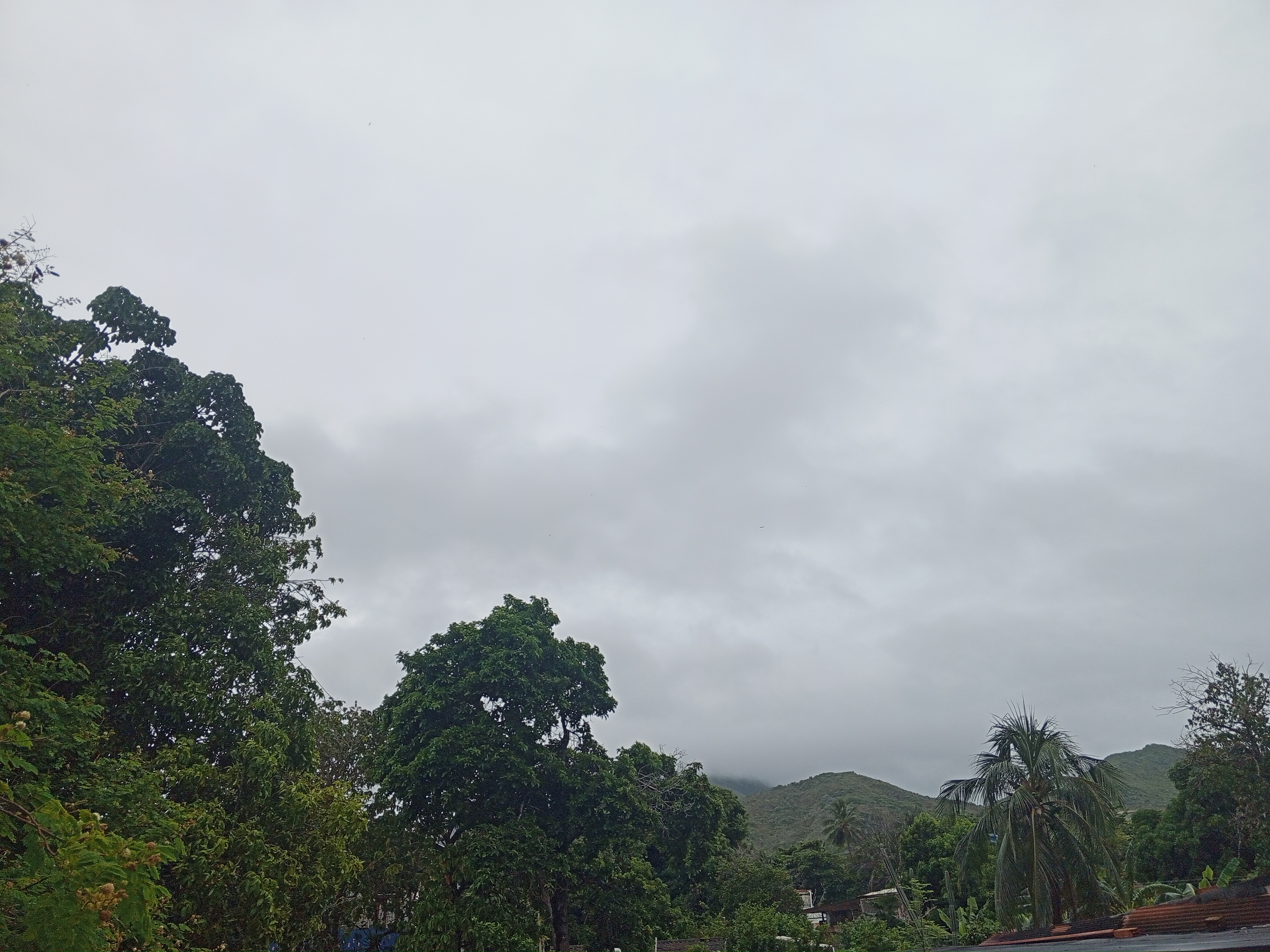 IMG_20240725_095846_988.jpg