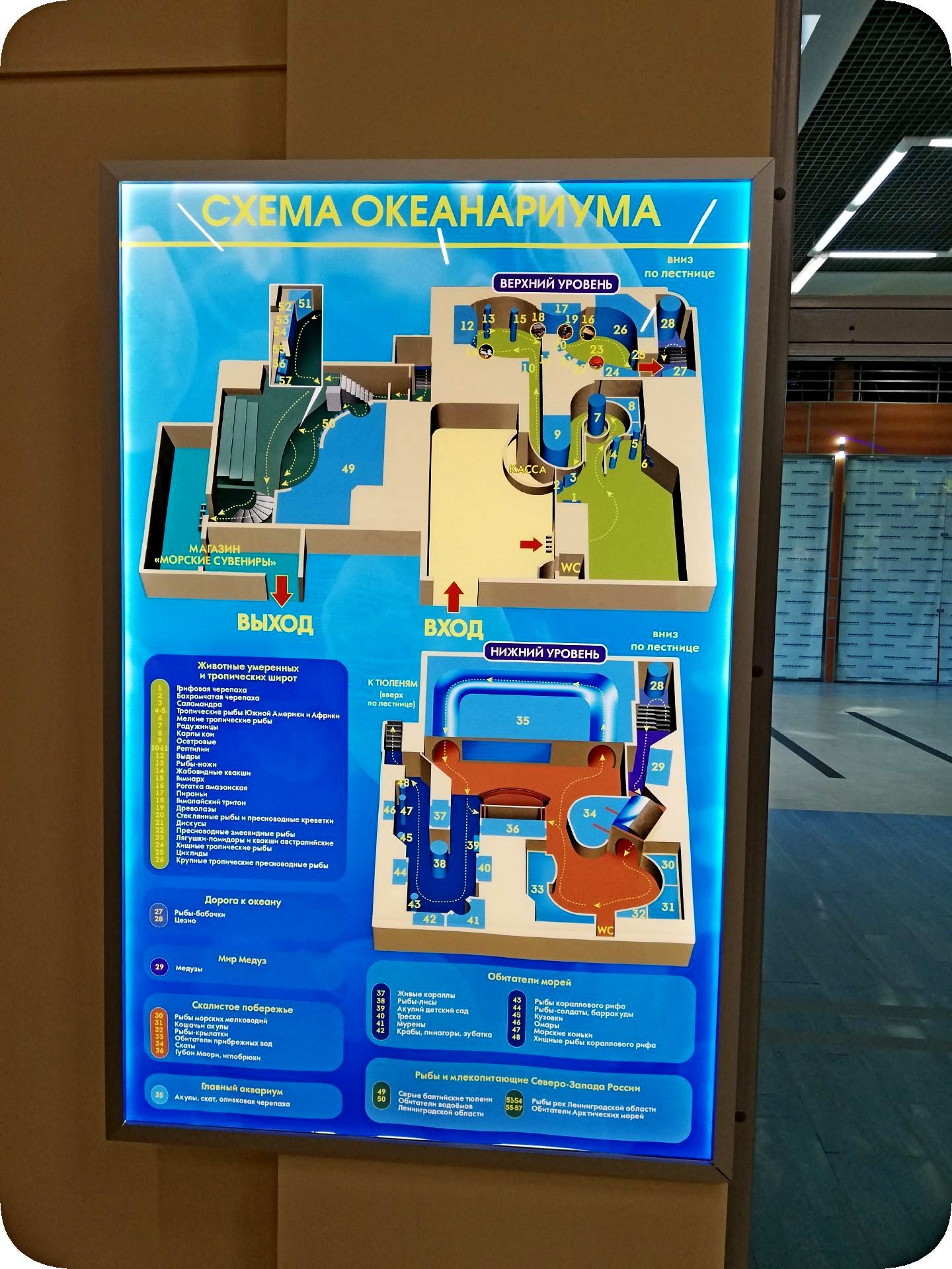 Oceanarium in St. Petersburg. Part 1\Ozeanarium in St. Petersburg. Teil 1