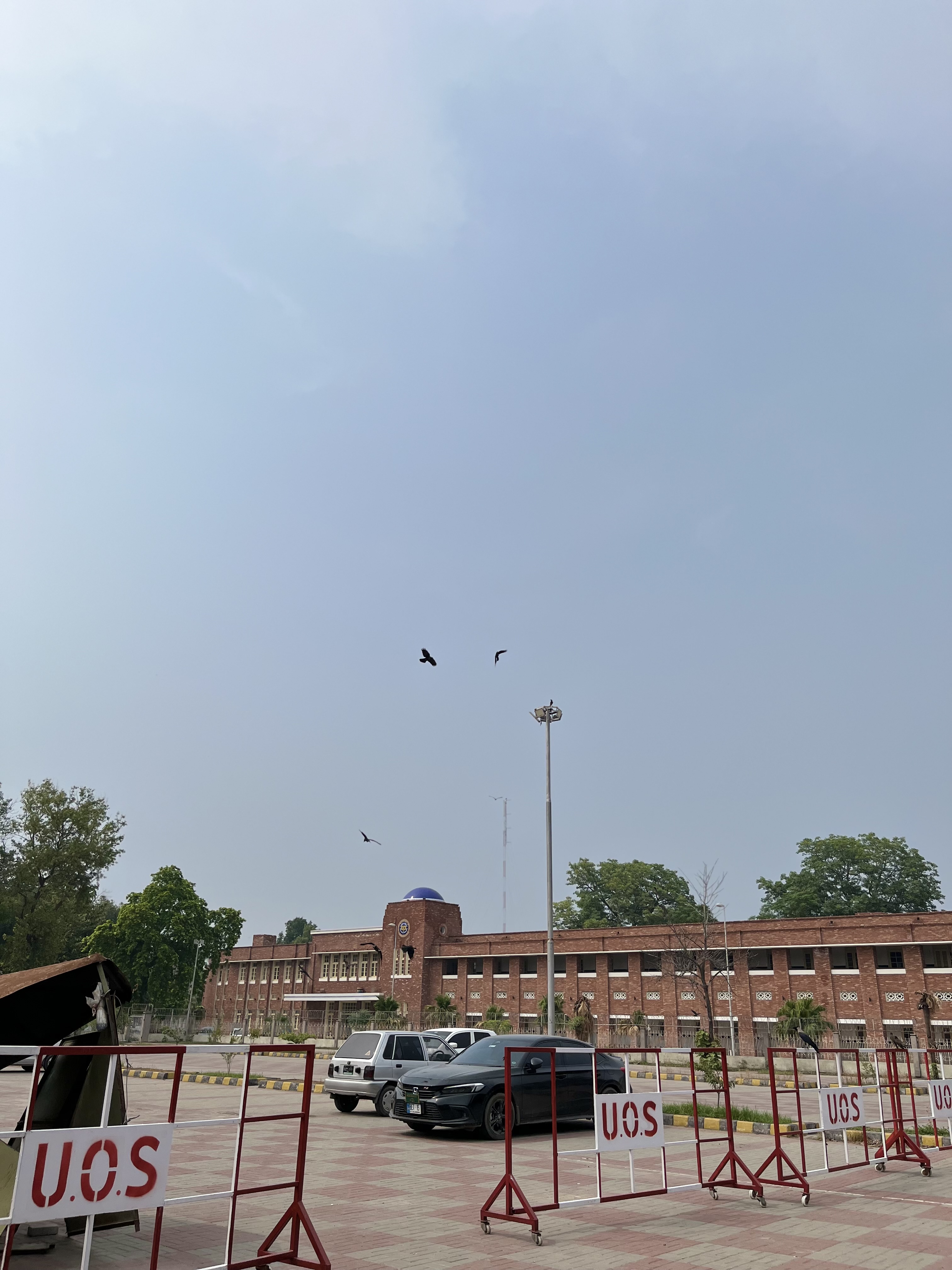 IMG_2635.jpeg