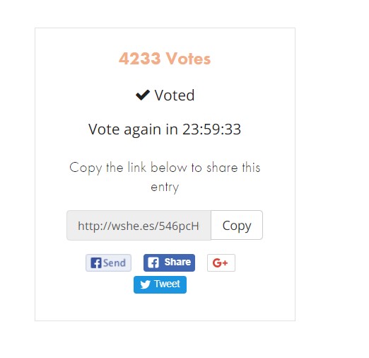 Vote.jpg