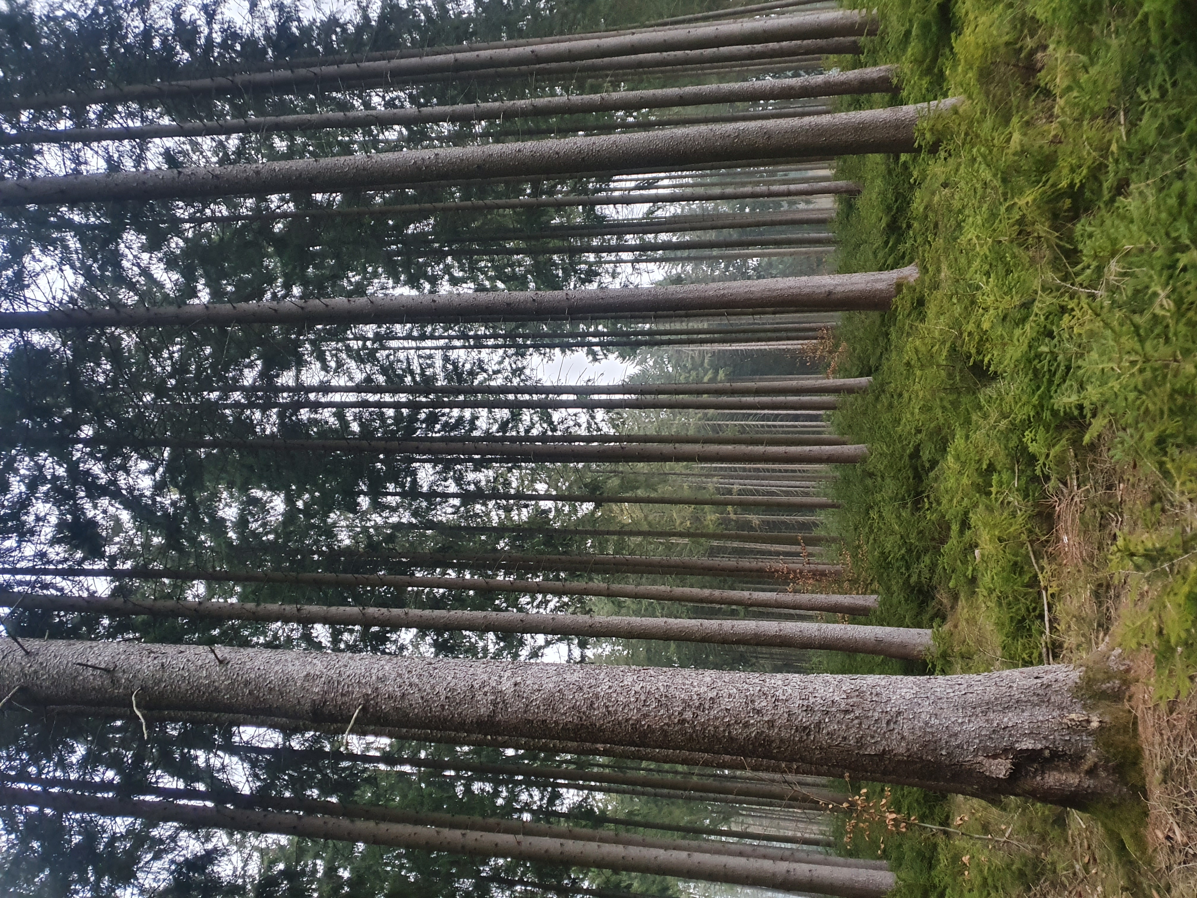 20220317_173128.jpg