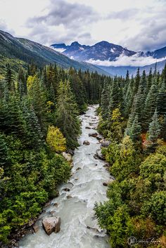 dad40e55f93994598207b4f3428c8bda--alaska-usa-travel-alaska.jpg