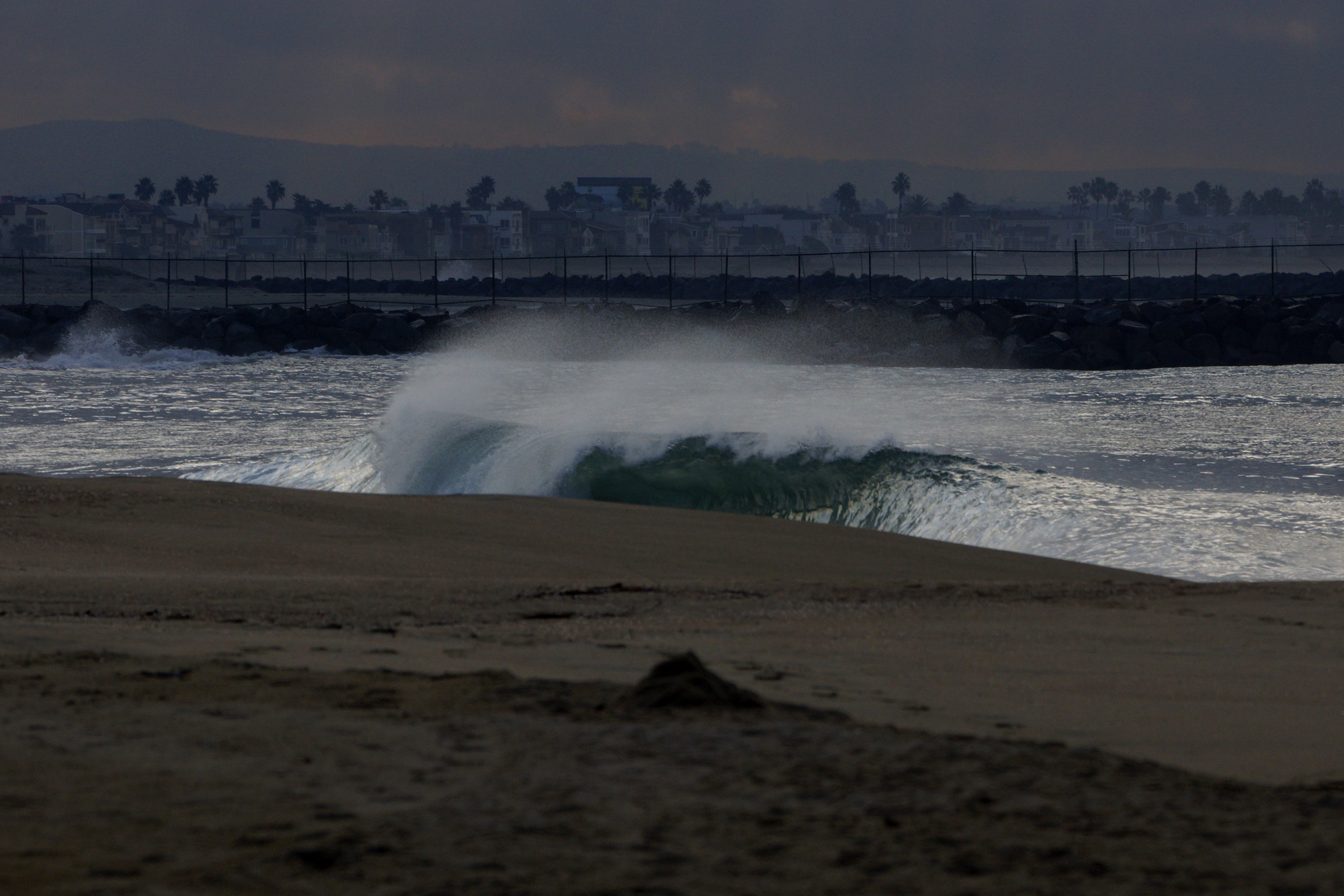 _DSC2911.JPG