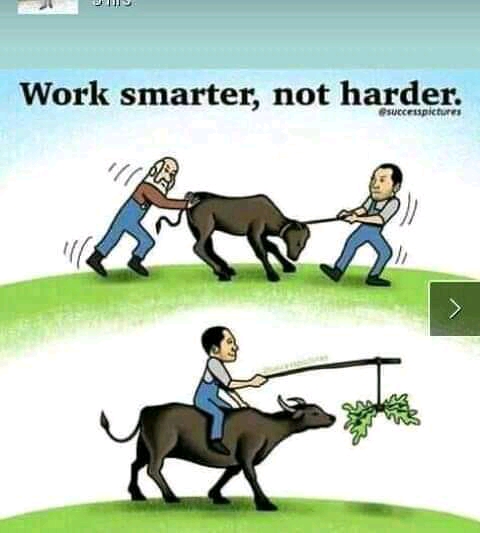 FB_IMG_16390846937013035.jpg
