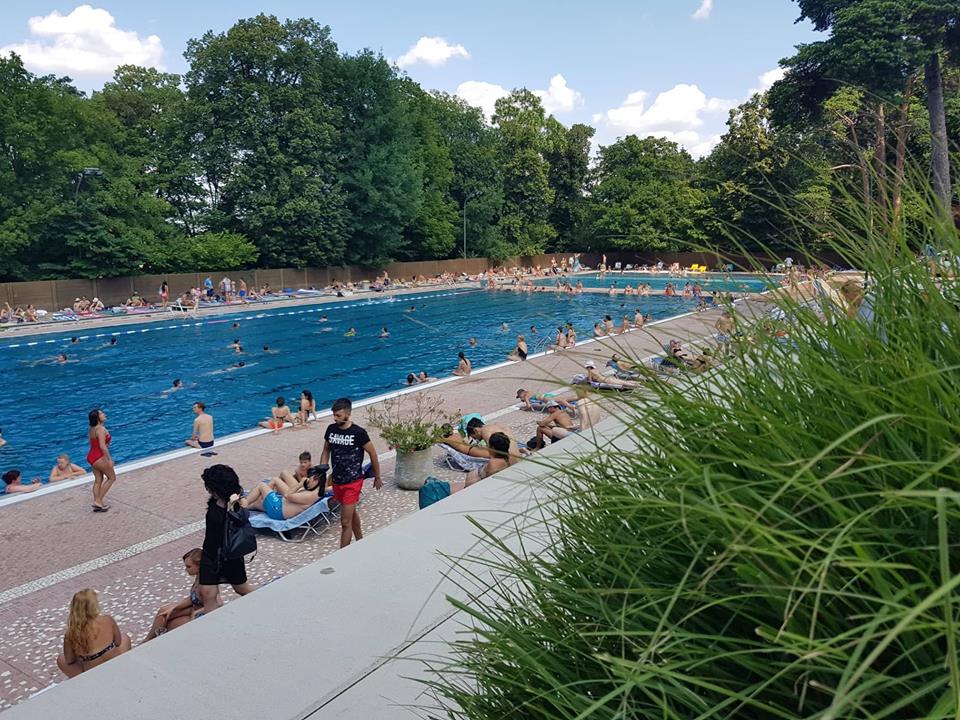 pool schönbrunn gras.jpg