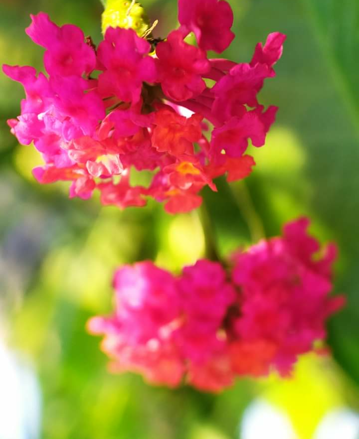 IMG_20211130_205533.png