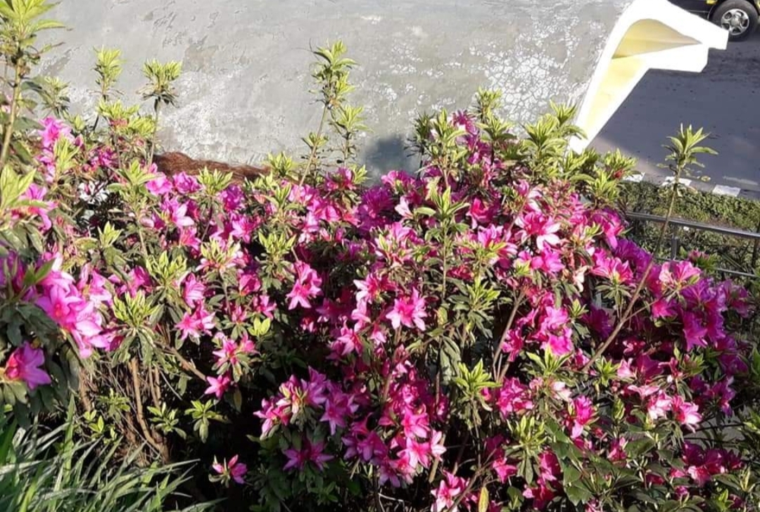 IMG_20220124_222358.jpg