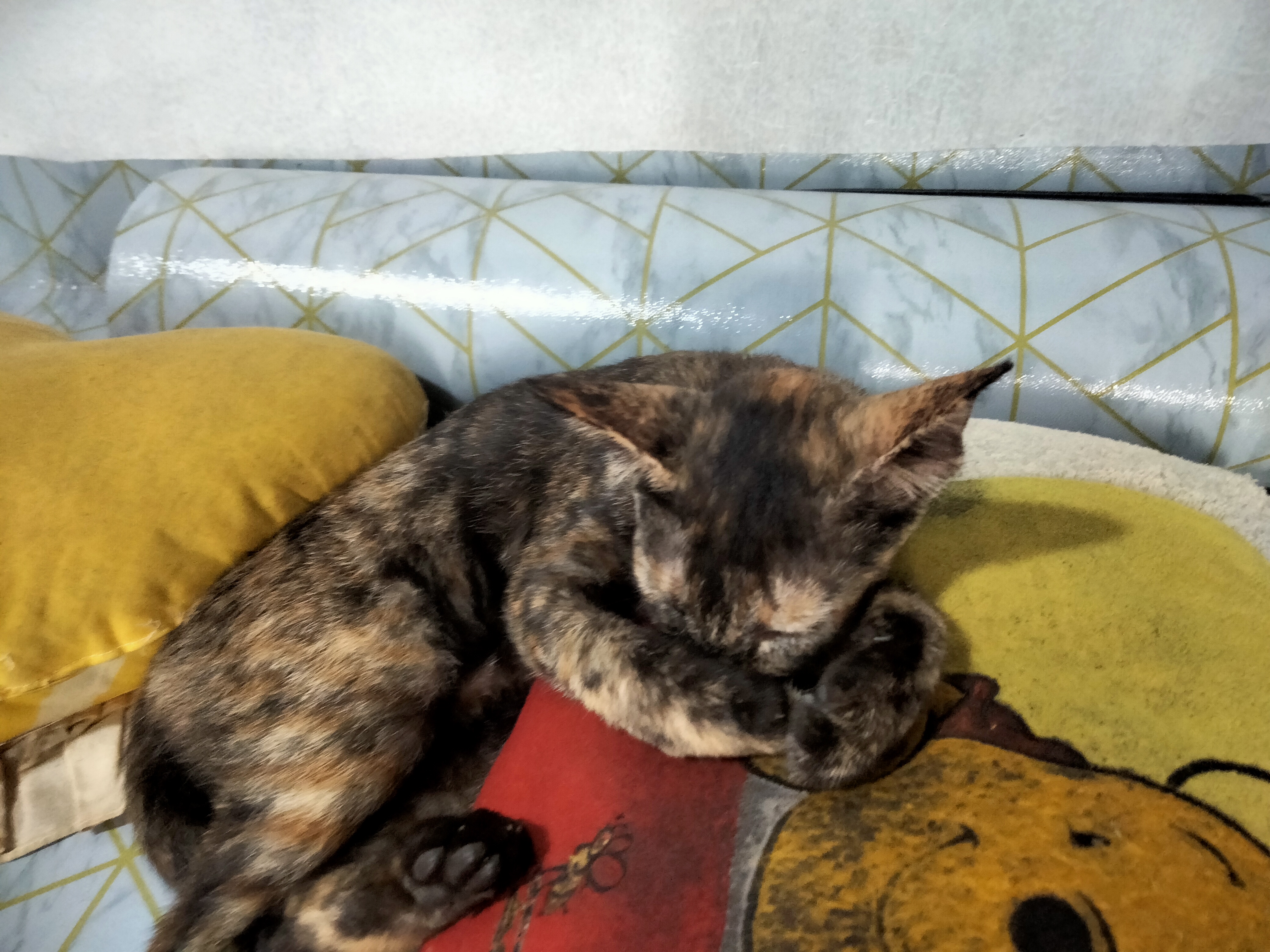 IMG20240523162034.jpg