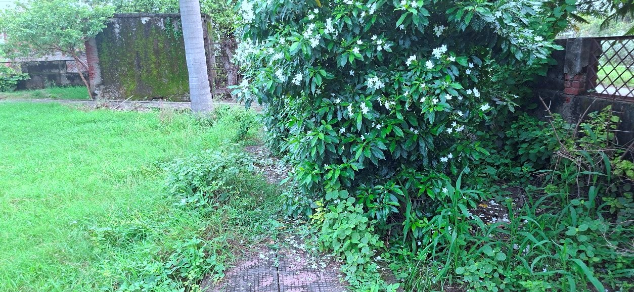 20260830_091842.jpg