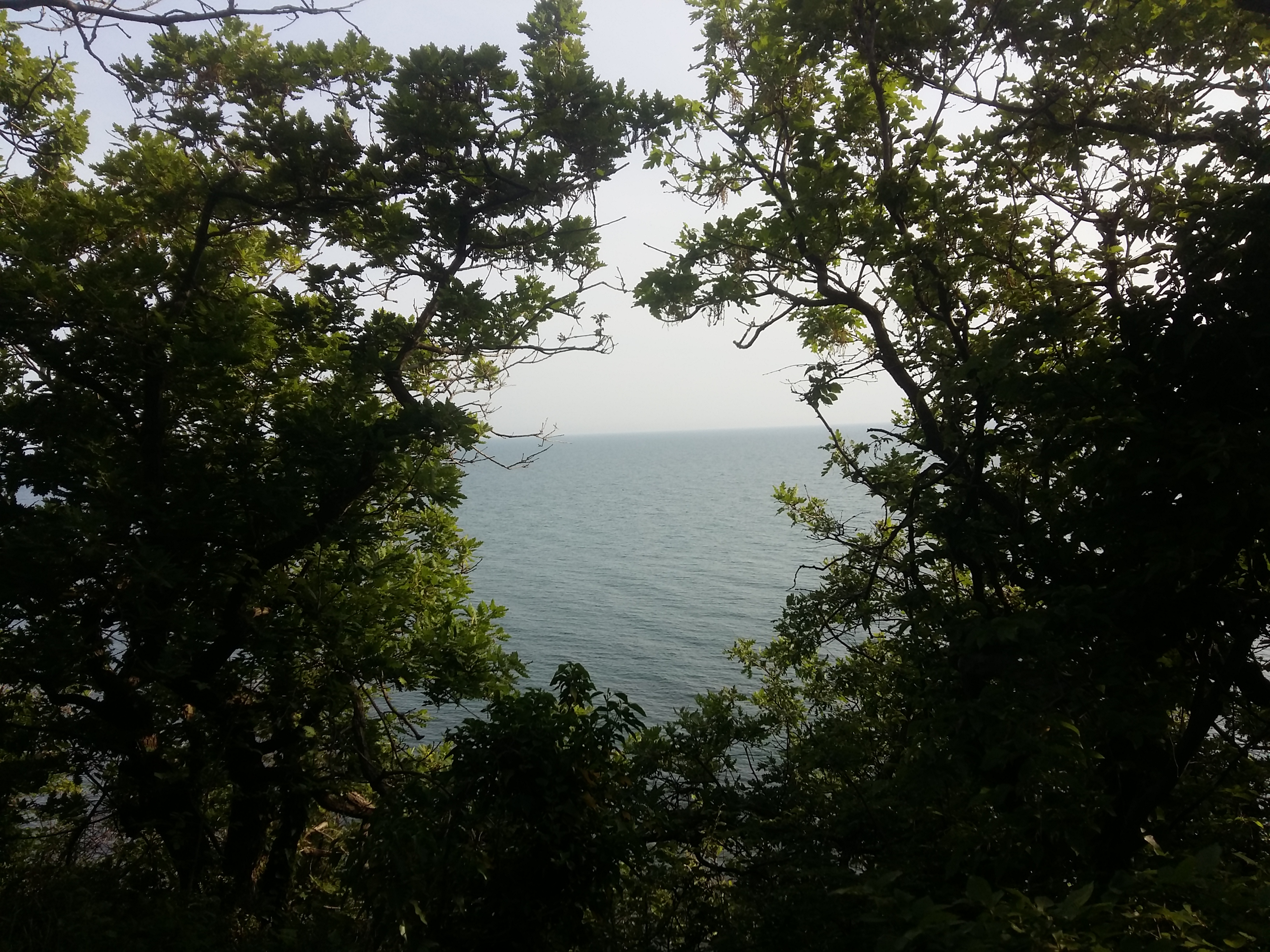 20180504_170114.jpg