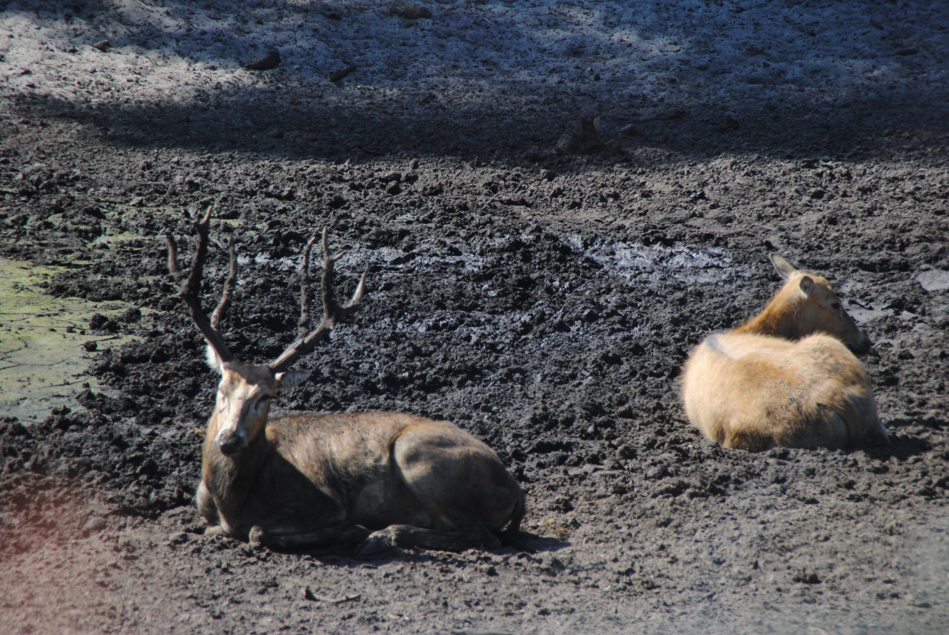 image028.jpg