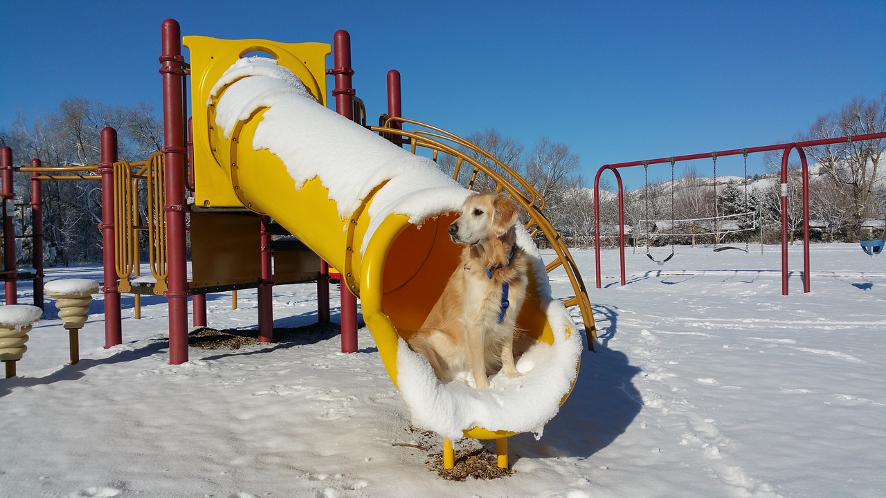playground-2615365_1280.jpg