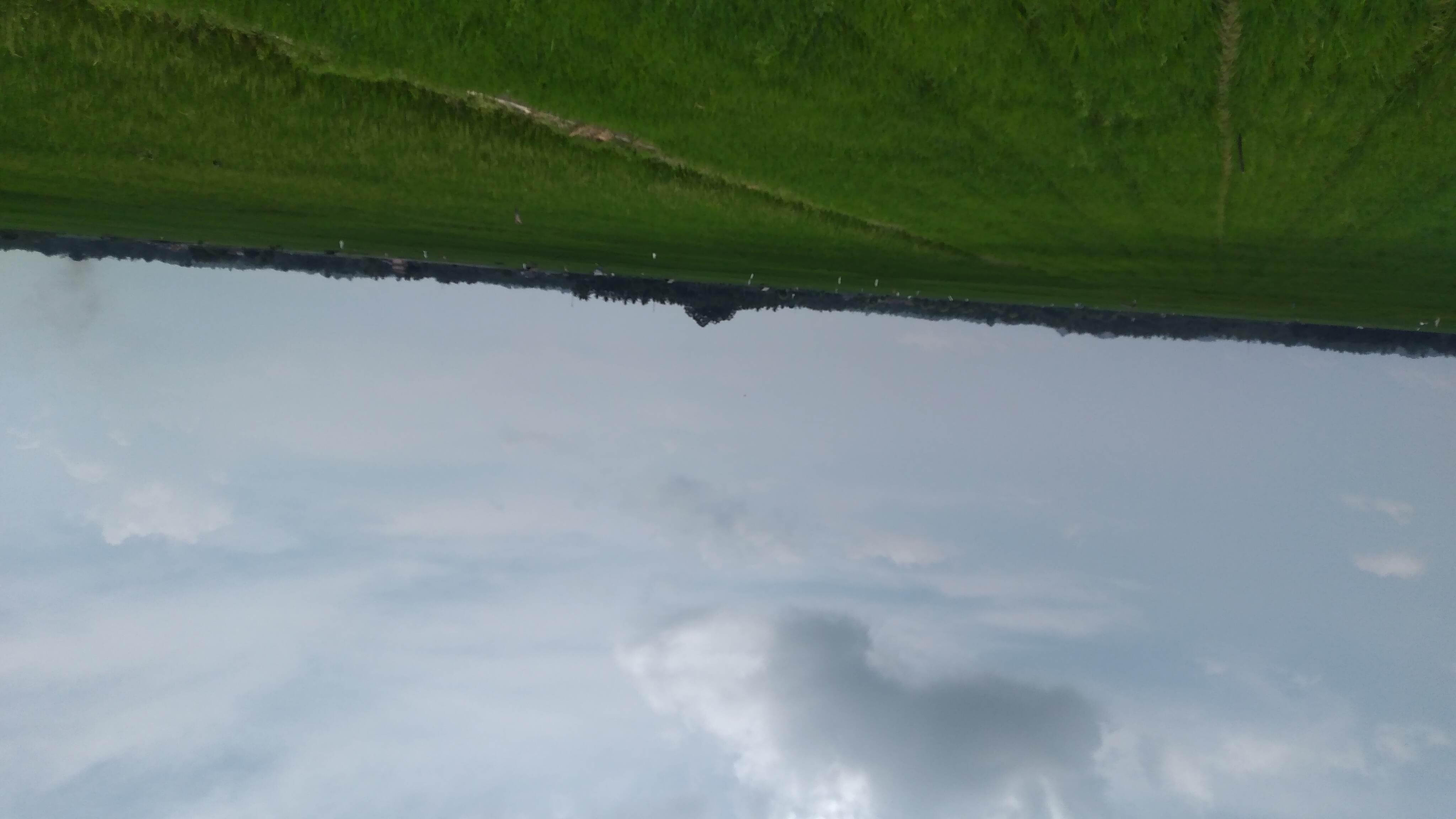 20240326_115949.jpg
