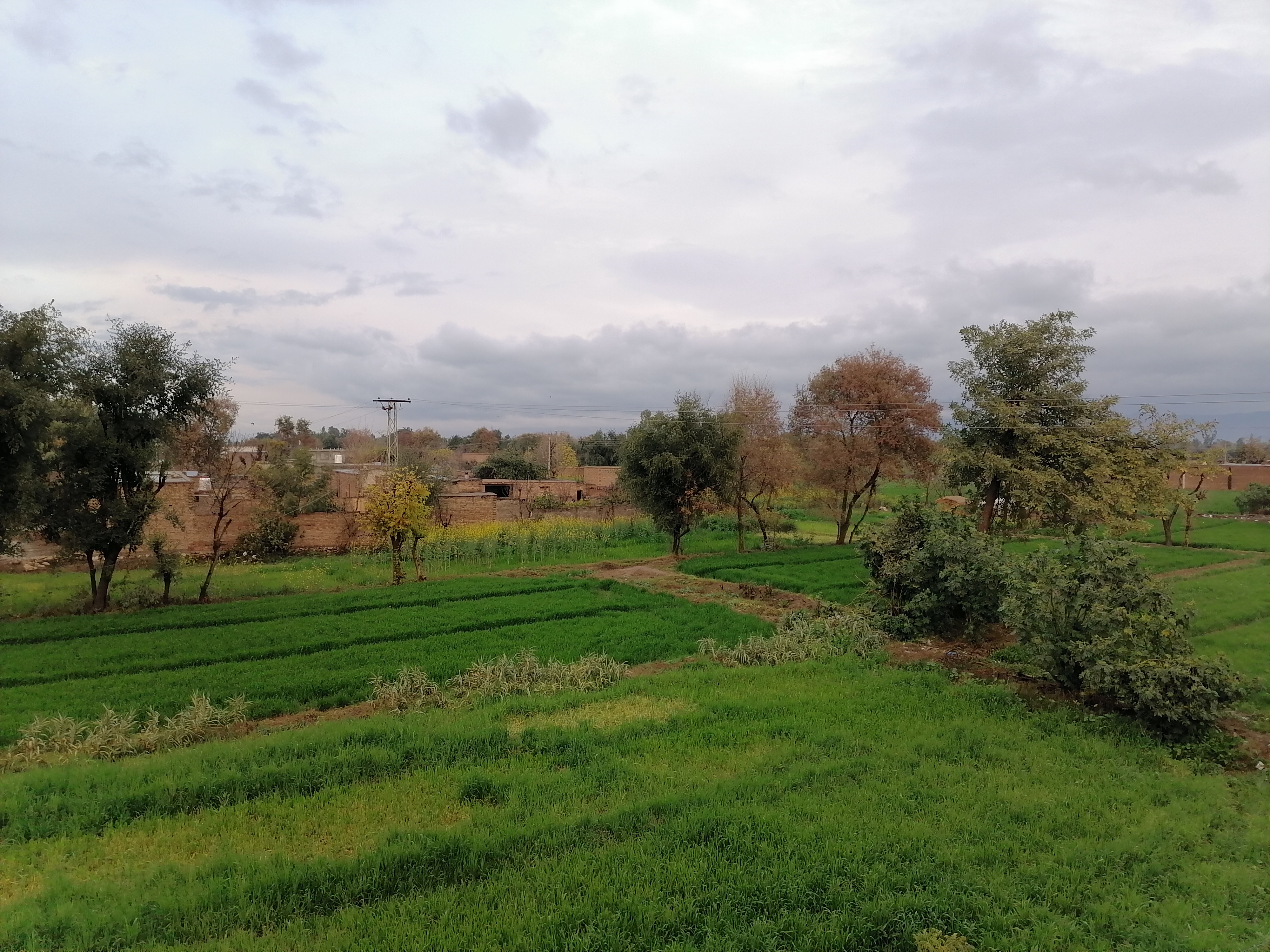 IMG_20220122_171757.jpg