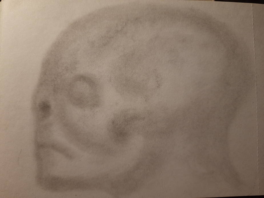 20260524_093809.jpg