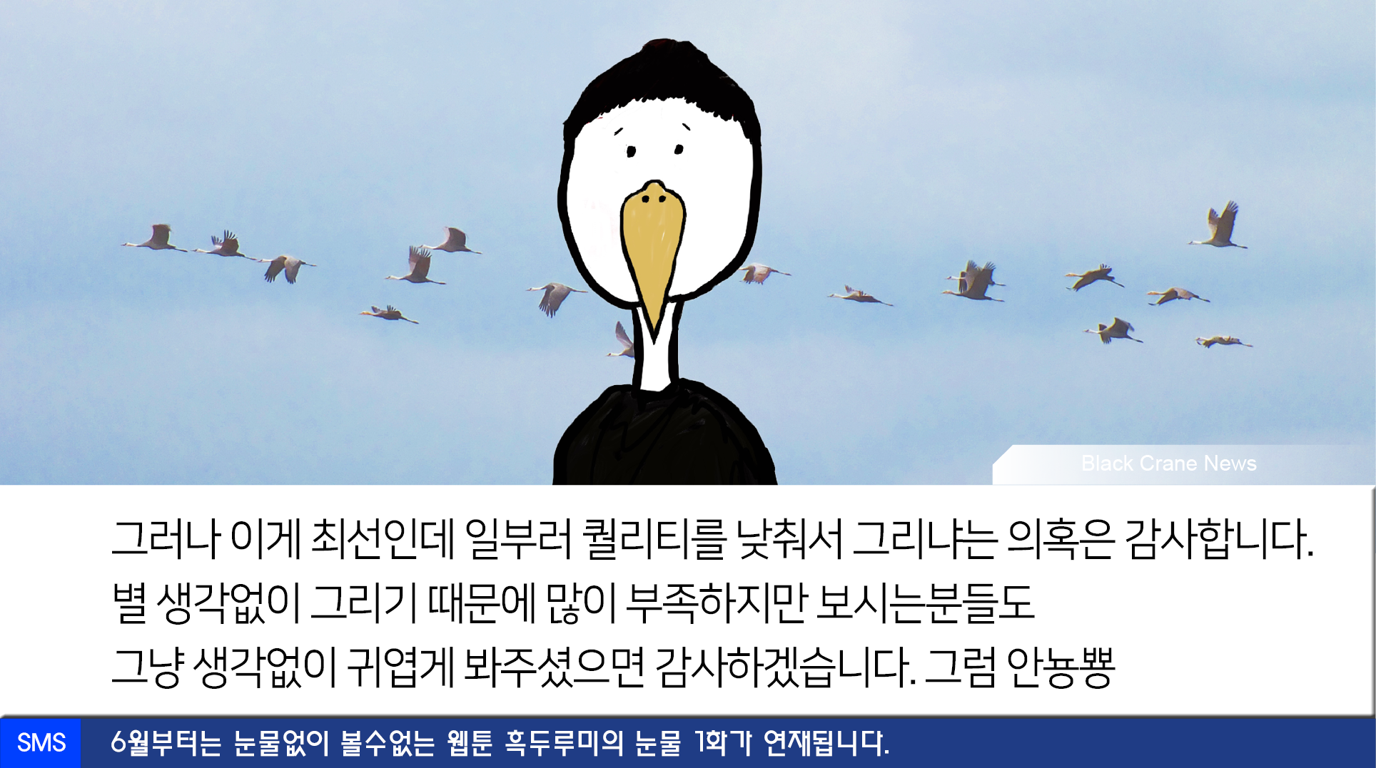 0523_black crane news11.png