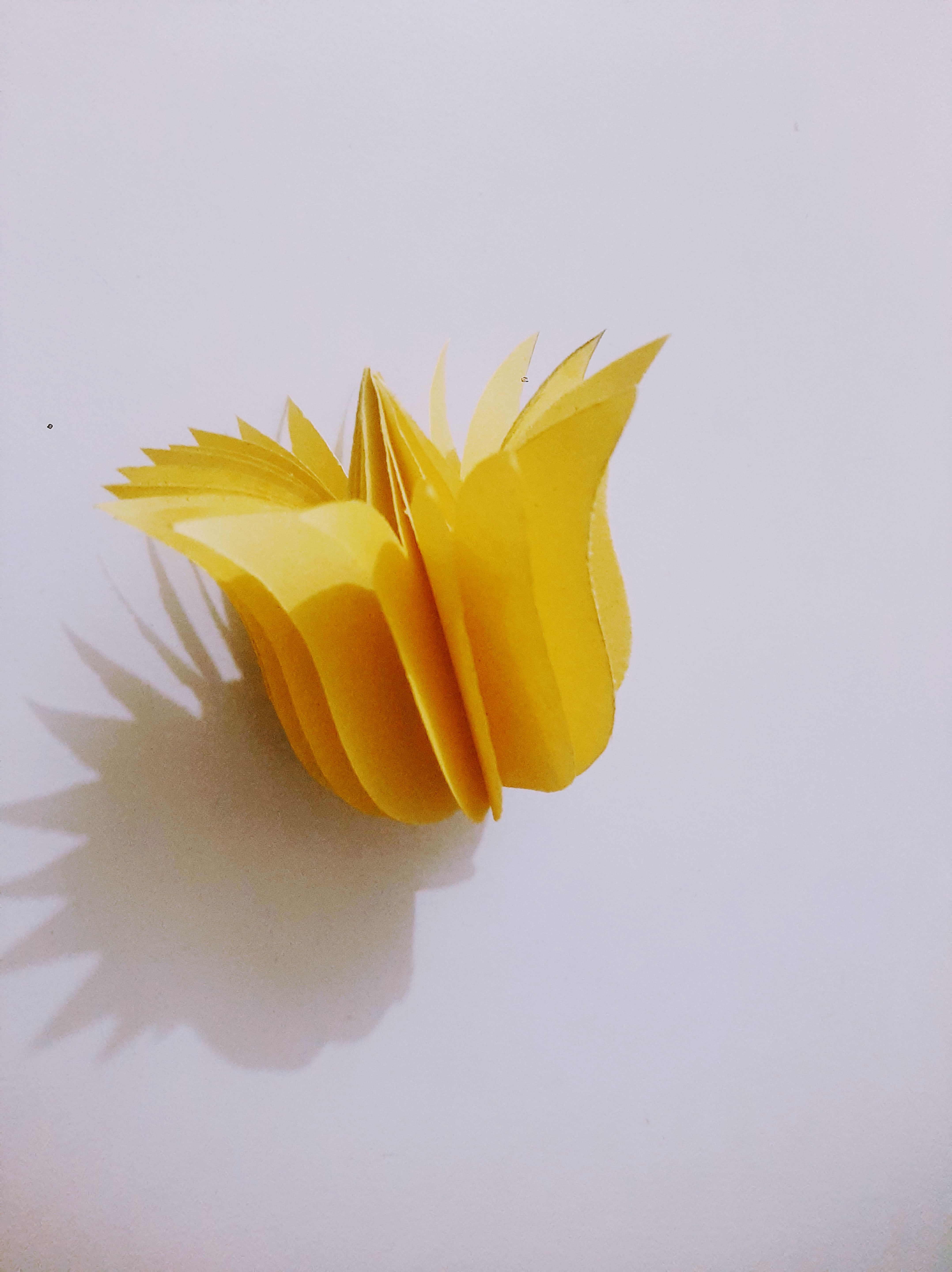 20260511_202511~3.jpg