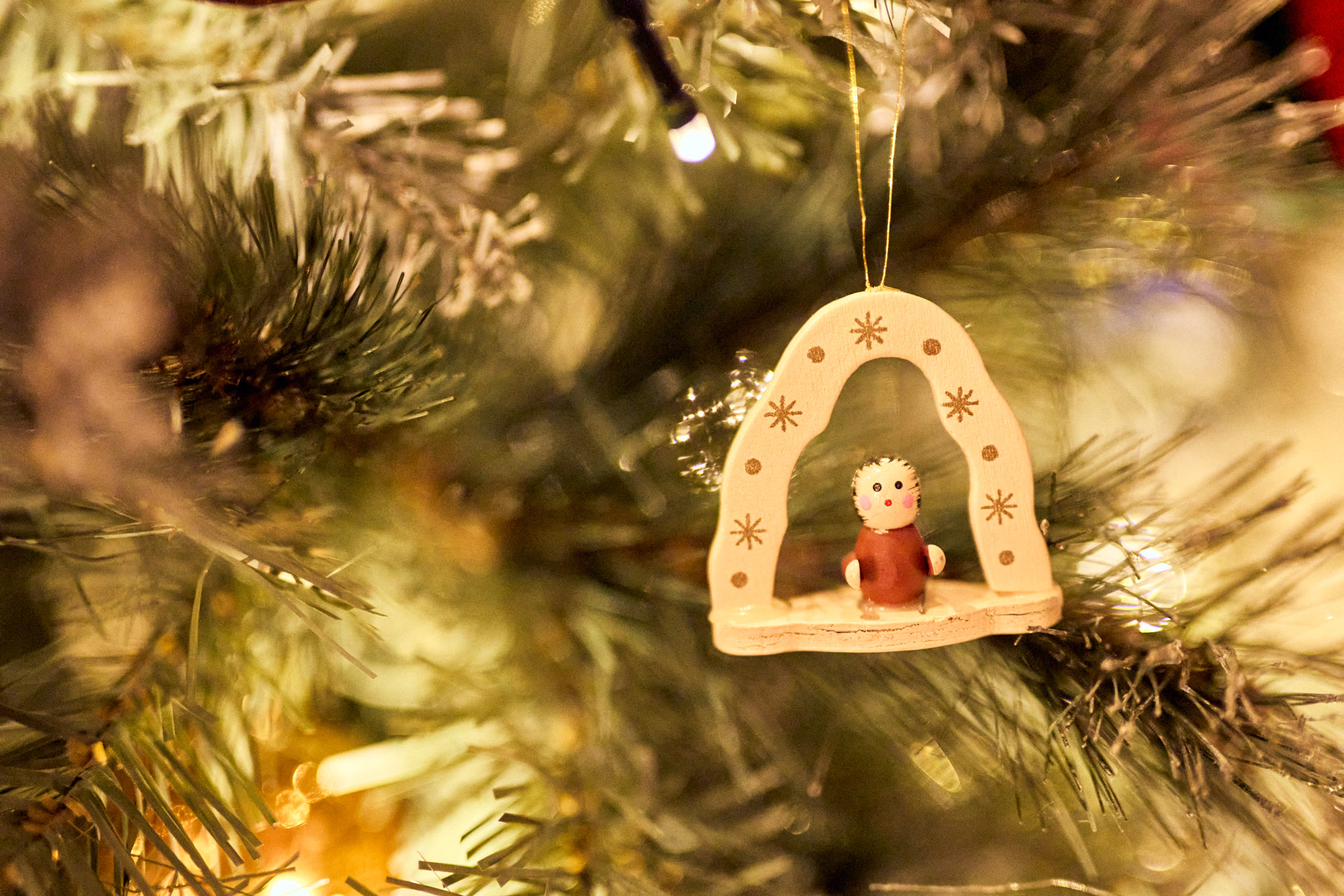 Tree 242.jpg