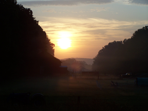 Cloudy sunrise2 crop September 2019.jpg