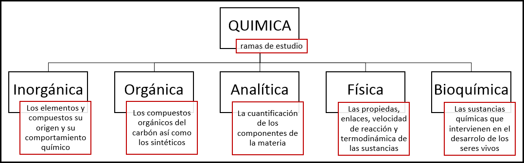 Imagen4.png