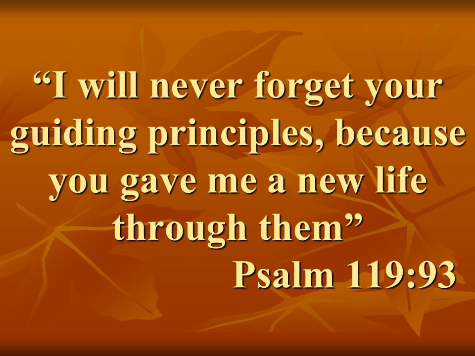 Fidelity to God. I will never forget your guiding principles, because you gave me a new life through them. Psalm 119,93.jpg